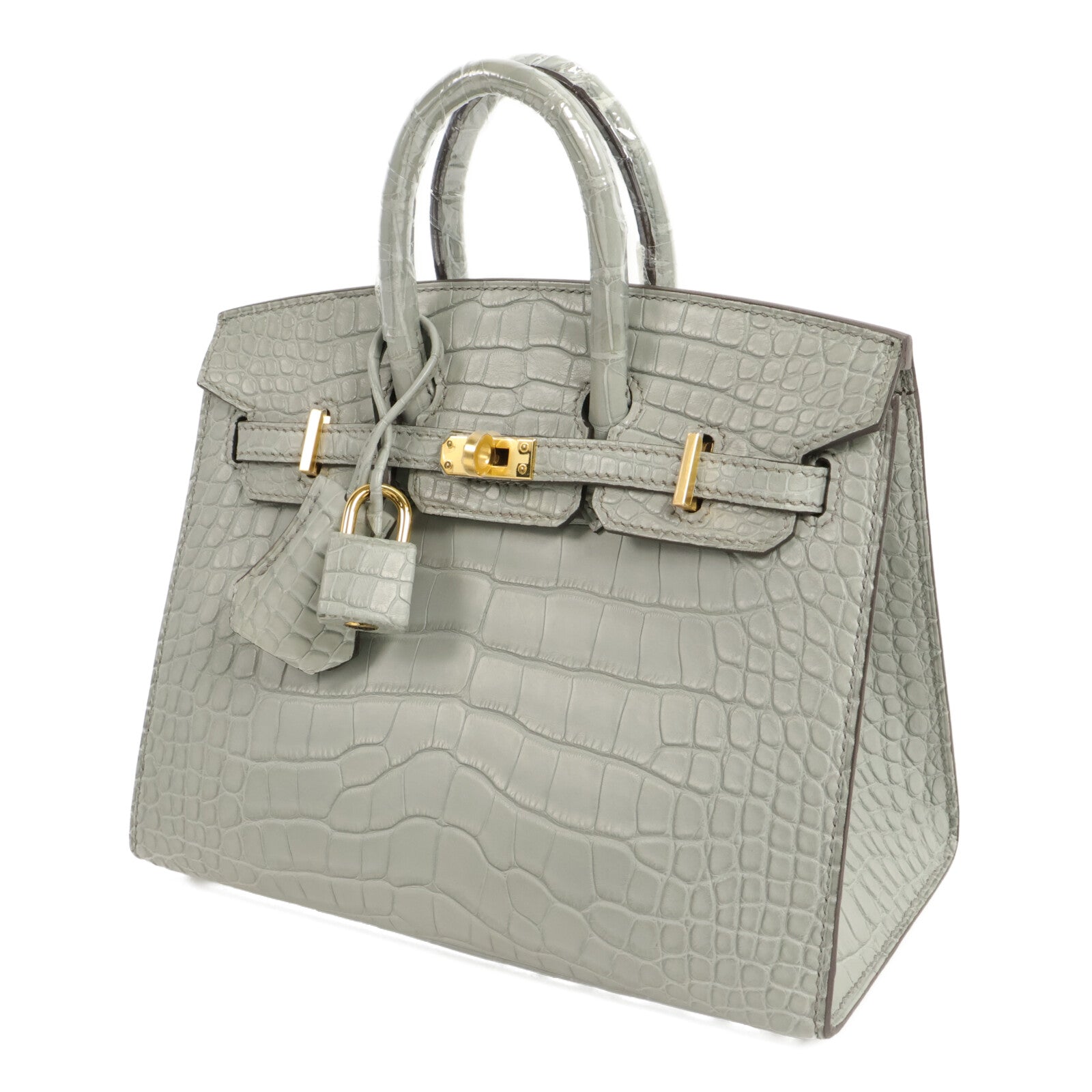HERMES 鱷魚皮革Birkin 20手挽袋