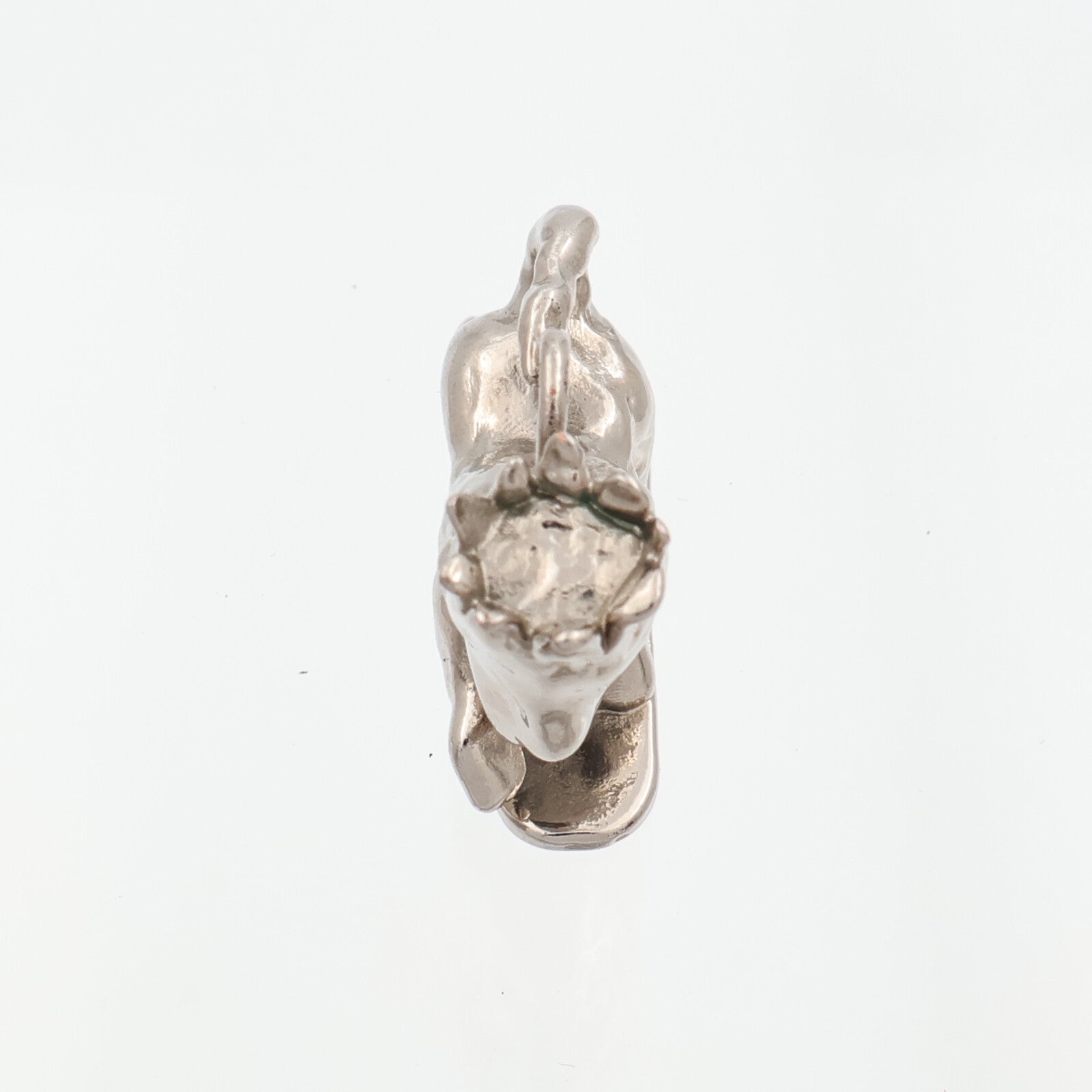 Dior 金屬Peter Doig Lion吊墜