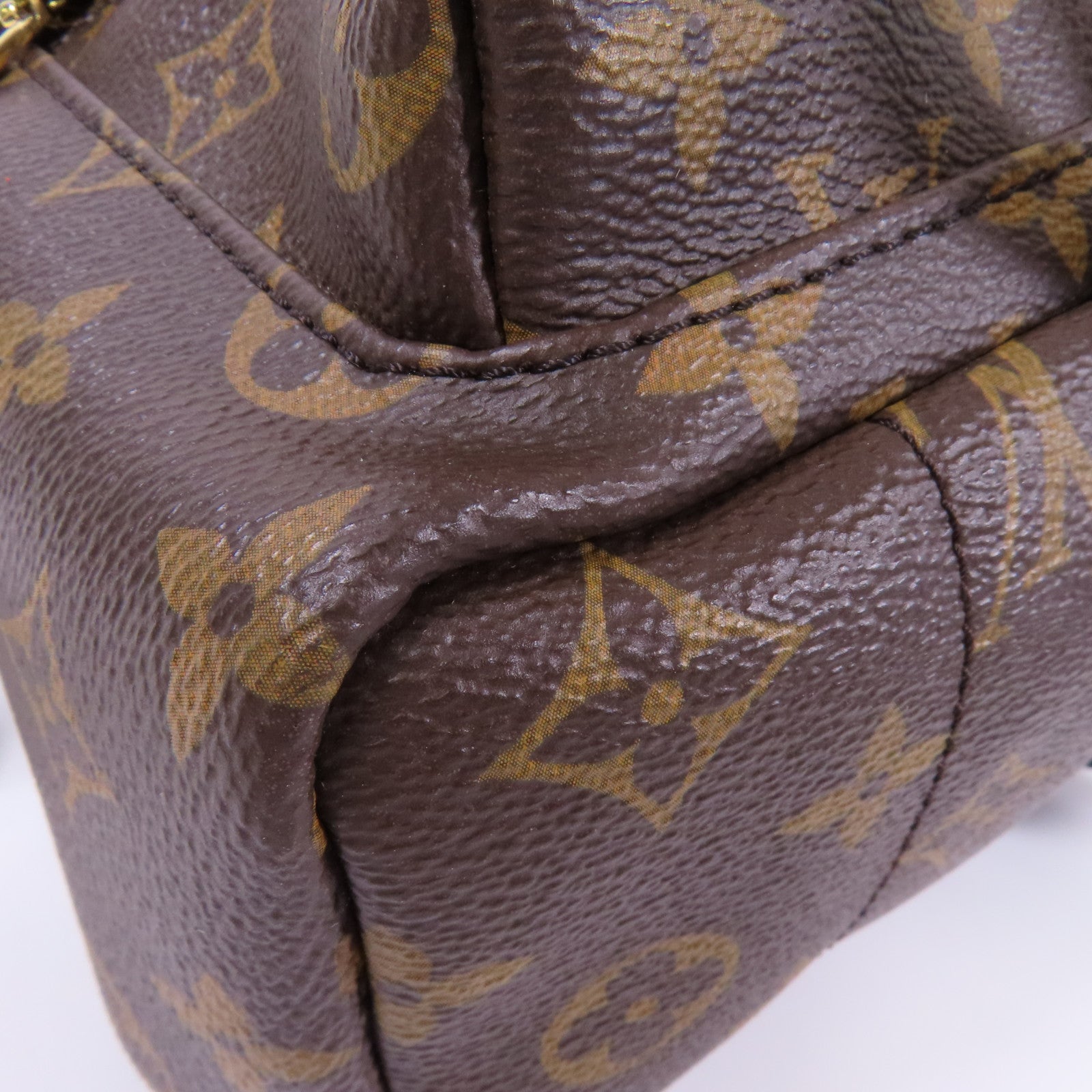 LOUIS VUITTON Monogram Macassar Palm Springs PM金扣背包