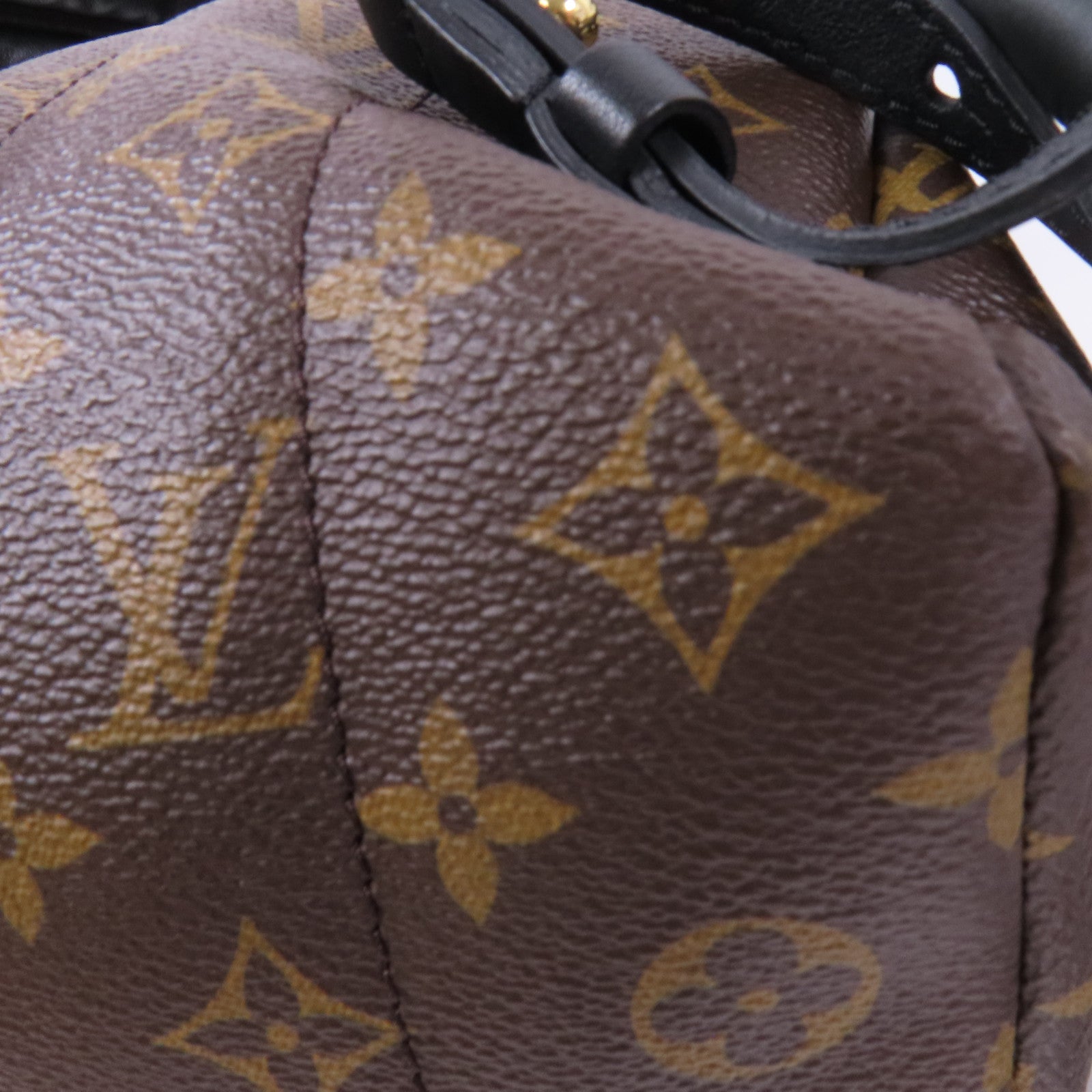 LOUIS VUITTON Monogram Macassar Palm Springs PM金扣背包