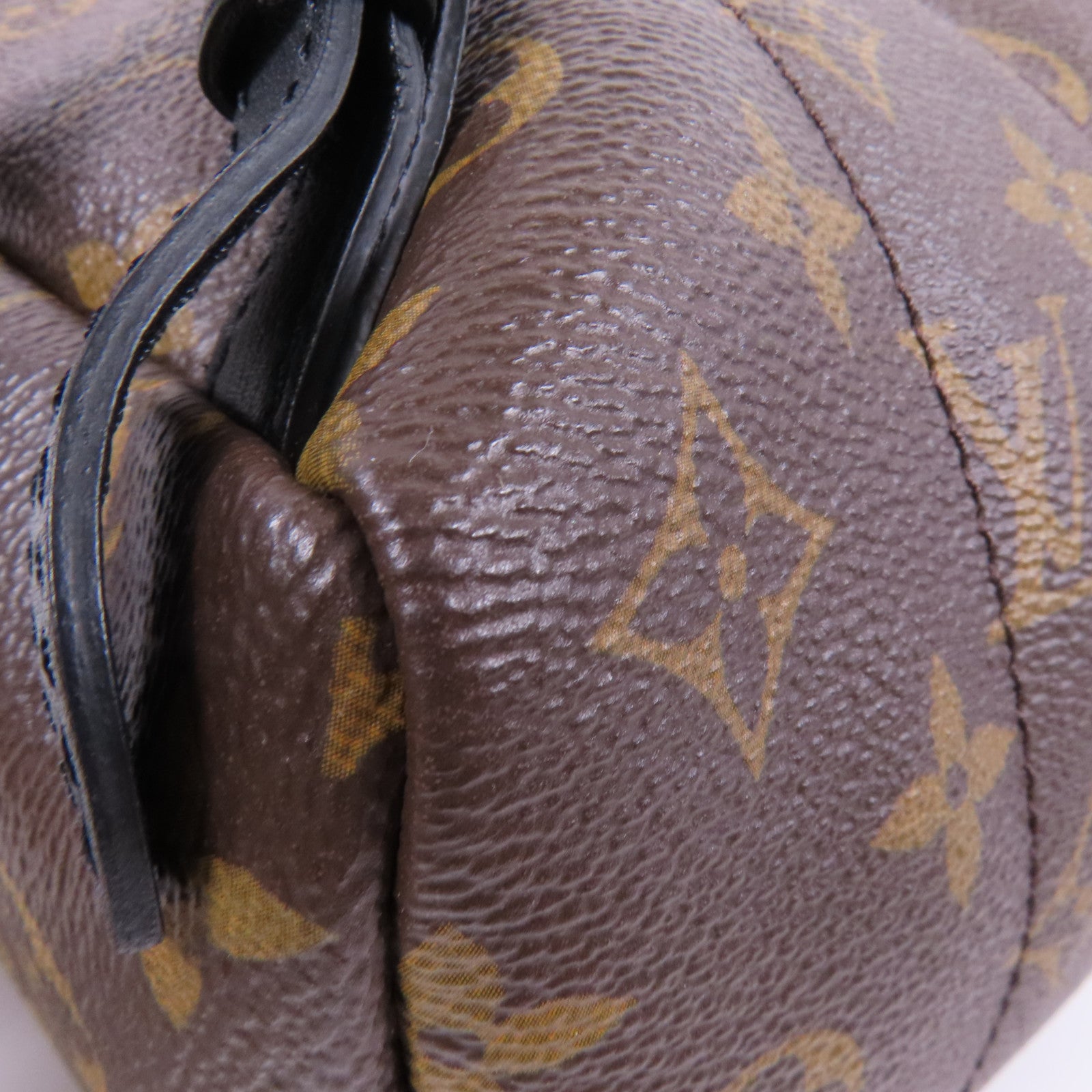 LOUIS VUITTON Monogram Macassar Palm Springs PM金扣背包