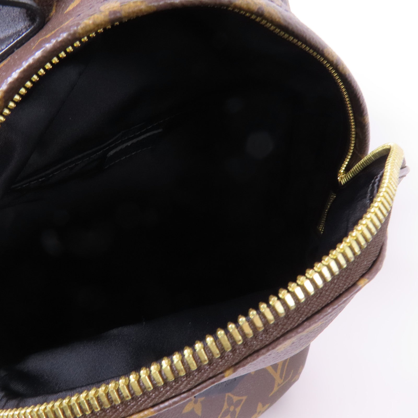 LOUIS VUITTON Monogram Macassar Palm Springs PM金扣背包