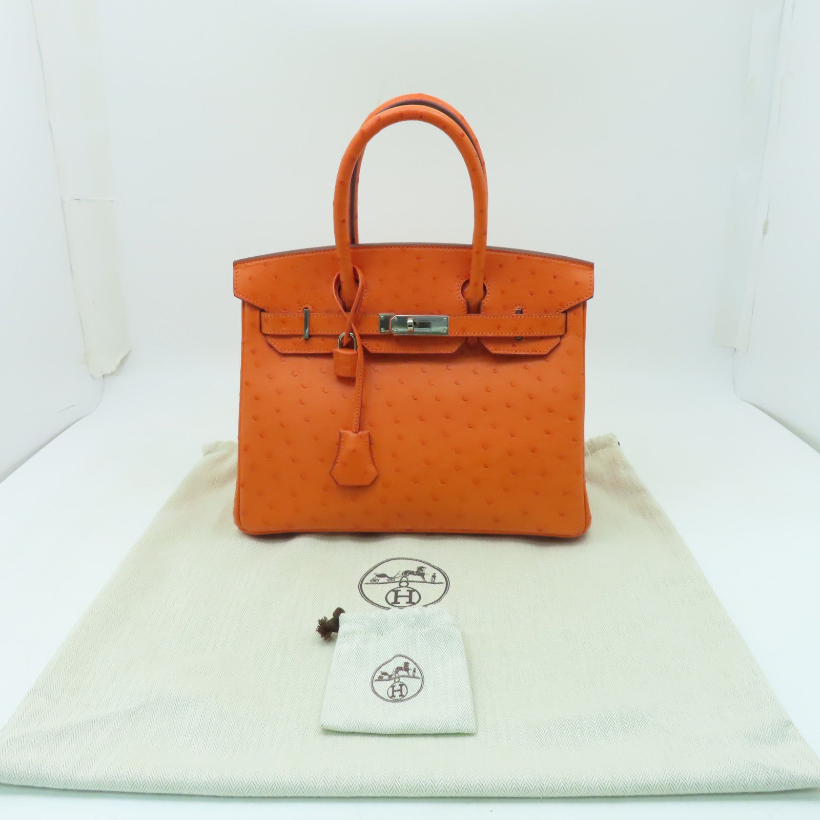 HERMES **【Hermes Fair】鴕鳥皮革Birkin 30銀扣手挽袋橙色