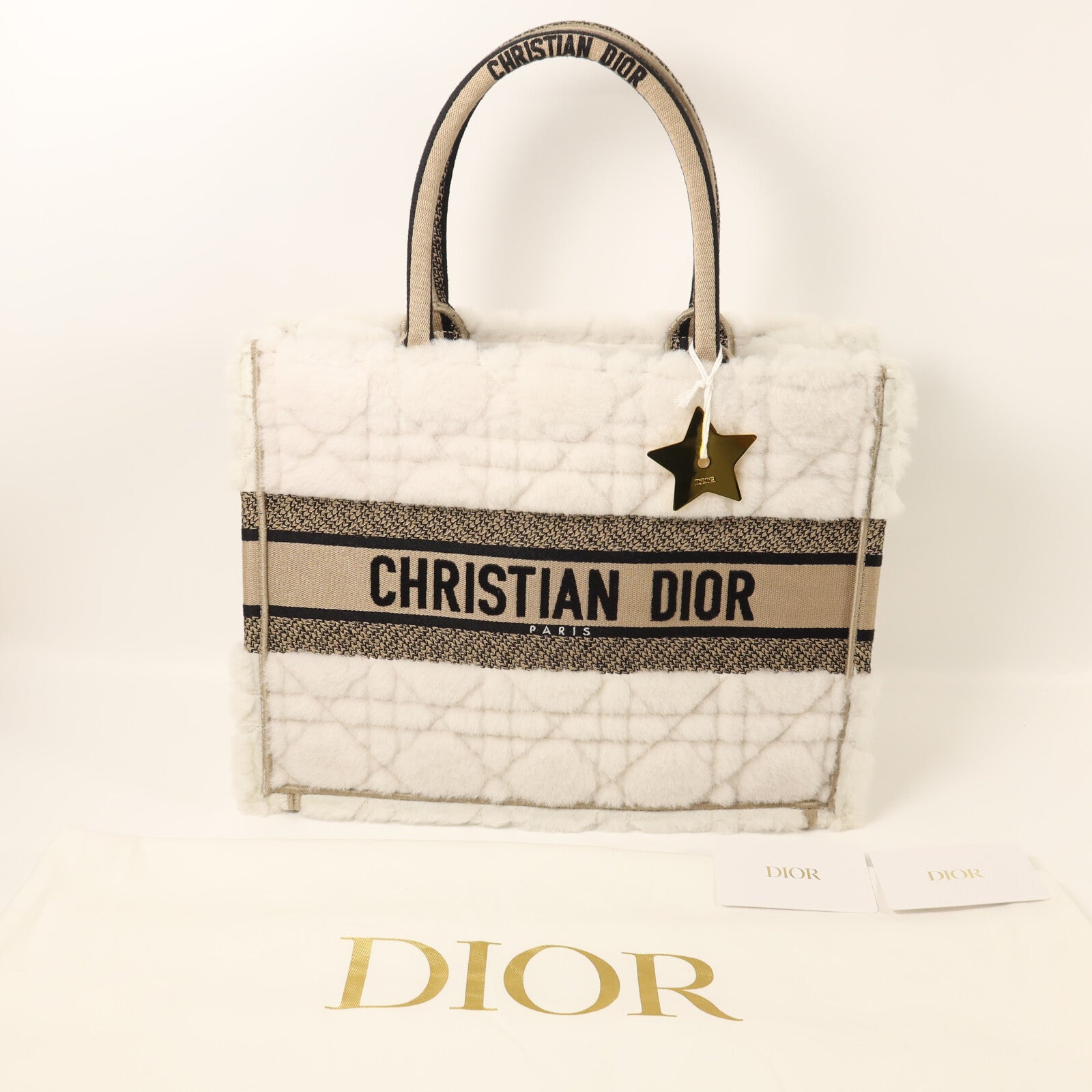 Dior 羊毛/帆布Book Tote Medium手挽袋