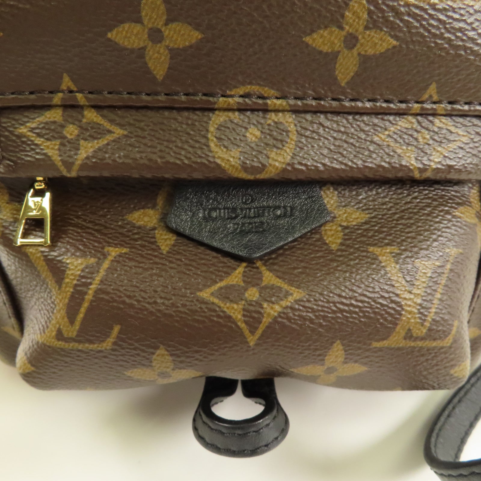 LOUIS VUITTON LV GHW Palm Spring Mini Backpack Monogram M44873 Brown