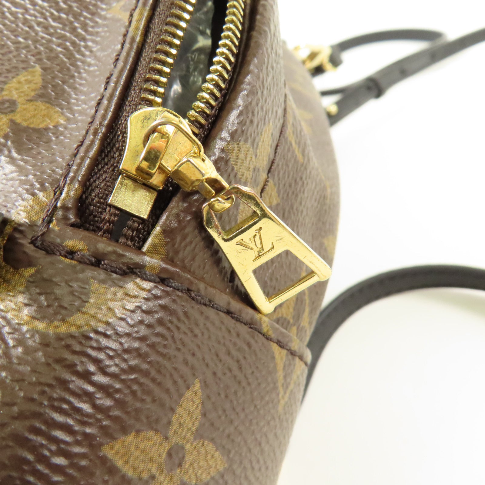 LOUIS VUITTON LV GHW Palm Spring Mini Backpack Monogram M44873 Brown
