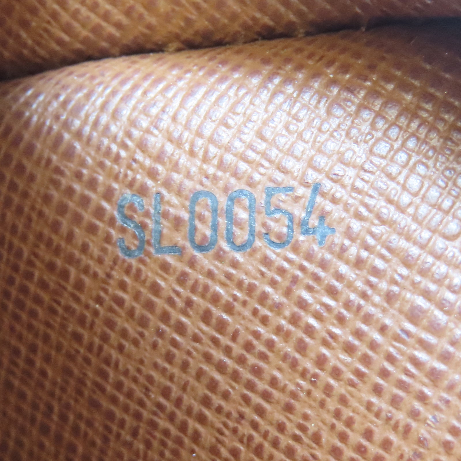 LOUIS VUITTON Monogram Danube金扣肩背袋