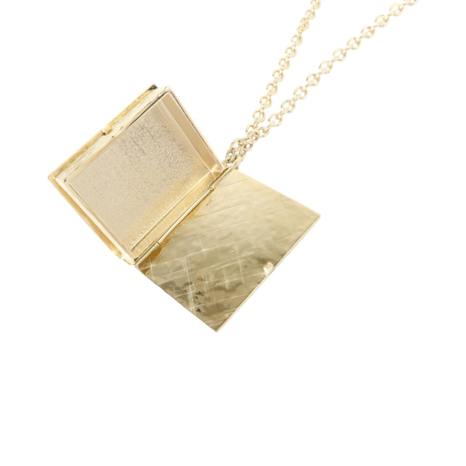 CHANEL 金屬/琺瑯Lion Book Locket Pendant Necklace項鏈
