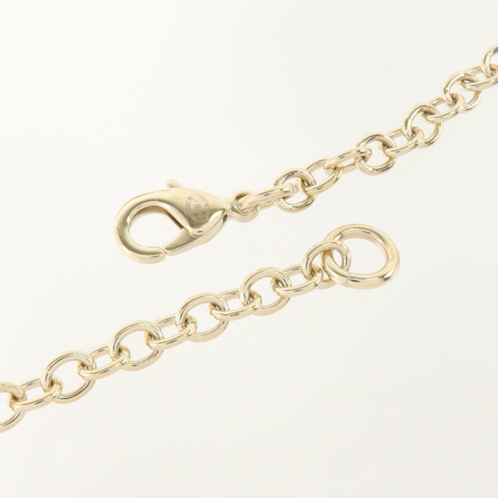CHANEL 金屬/琺瑯Lion Book Locket Pendant Necklace項鏈