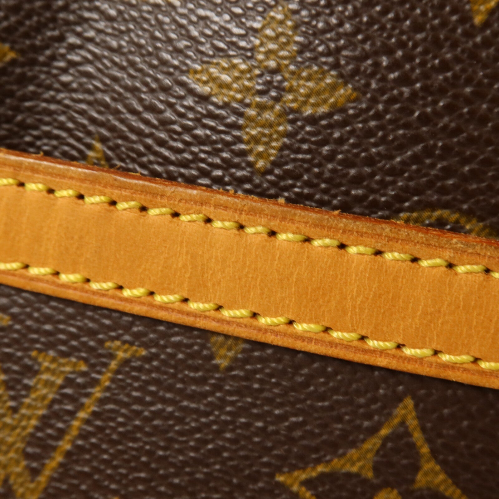 LOUIS VUITTON Monogram Danube肩背袋