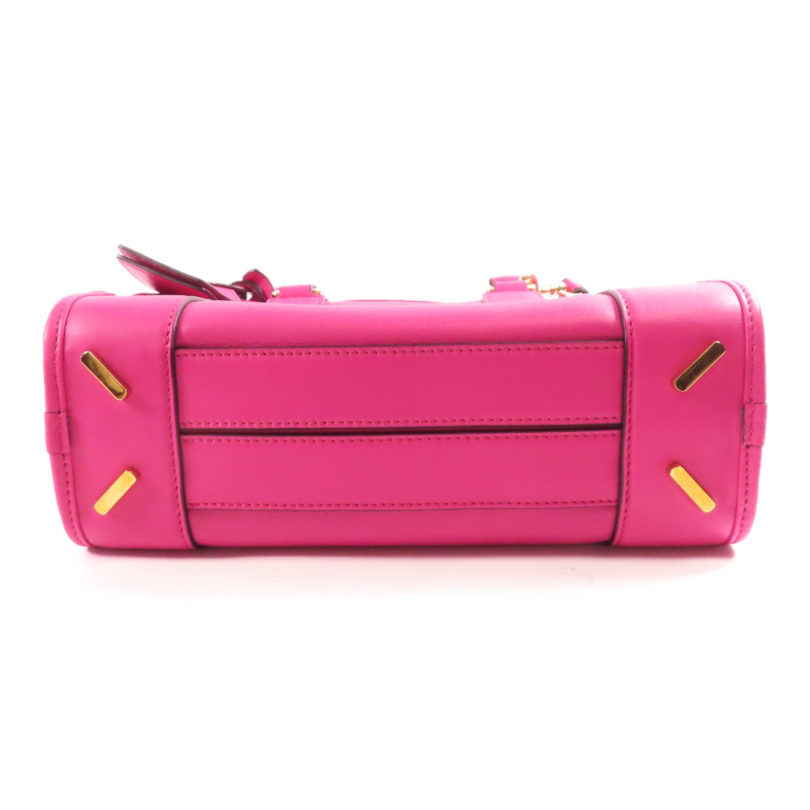 LOEWE 牛皮皮革Amazona金扣手挽肩背兩用袋
