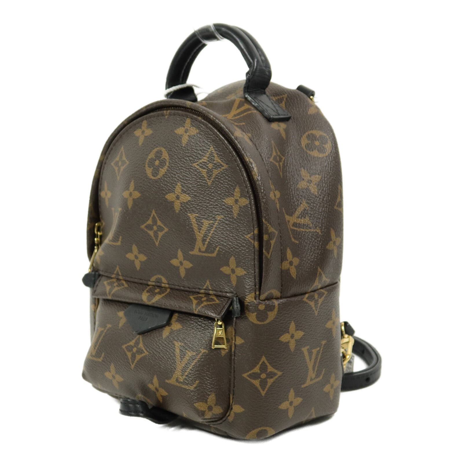 LOUIS VUITTON Monogram Palm Springs Mini背包