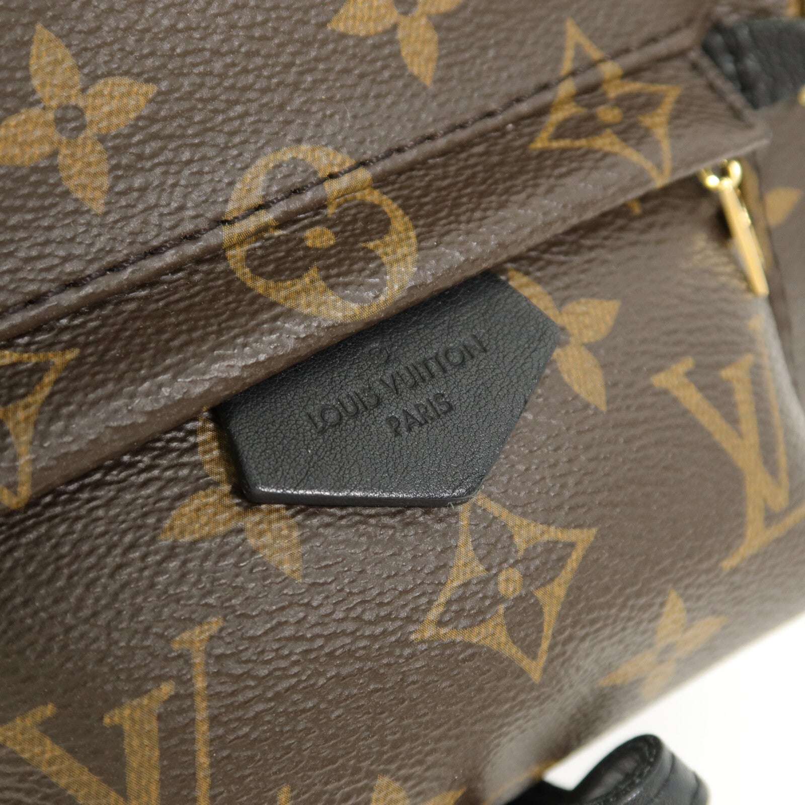 LOUIS VUITTON Monogram Palm Springs Mini背包