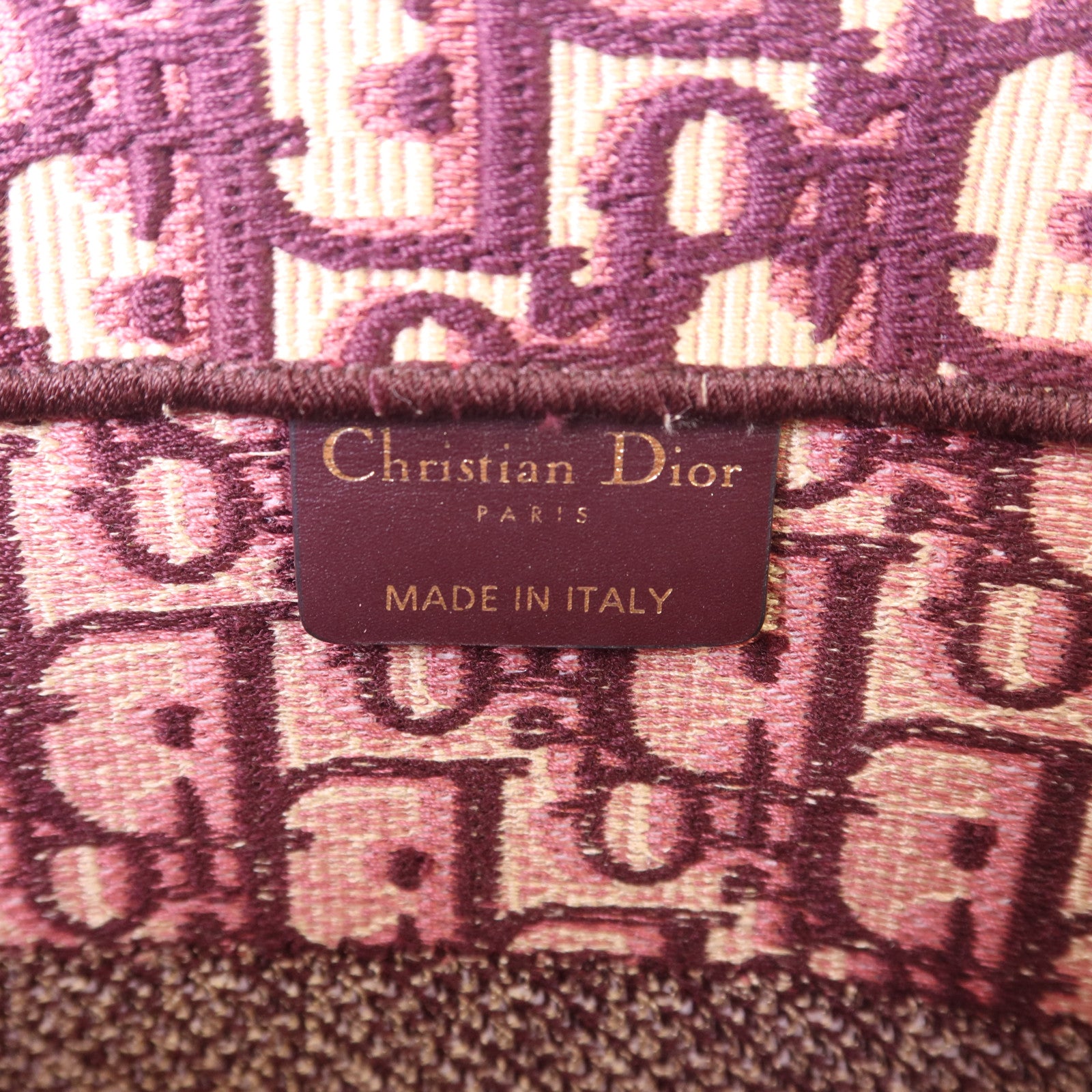 Dior 帆布Book Tote手挽袋