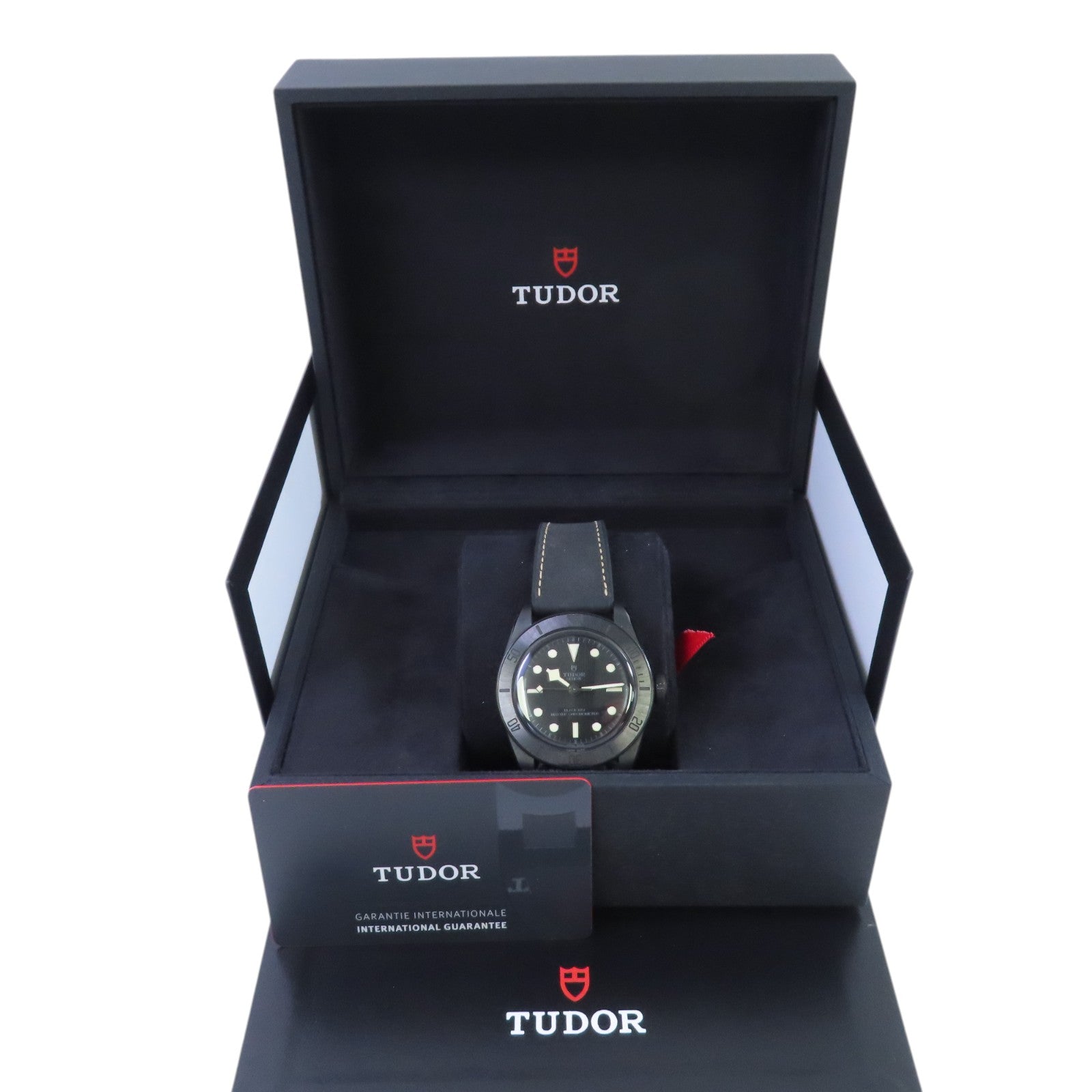 TUDOR Black Bay 79210CNU