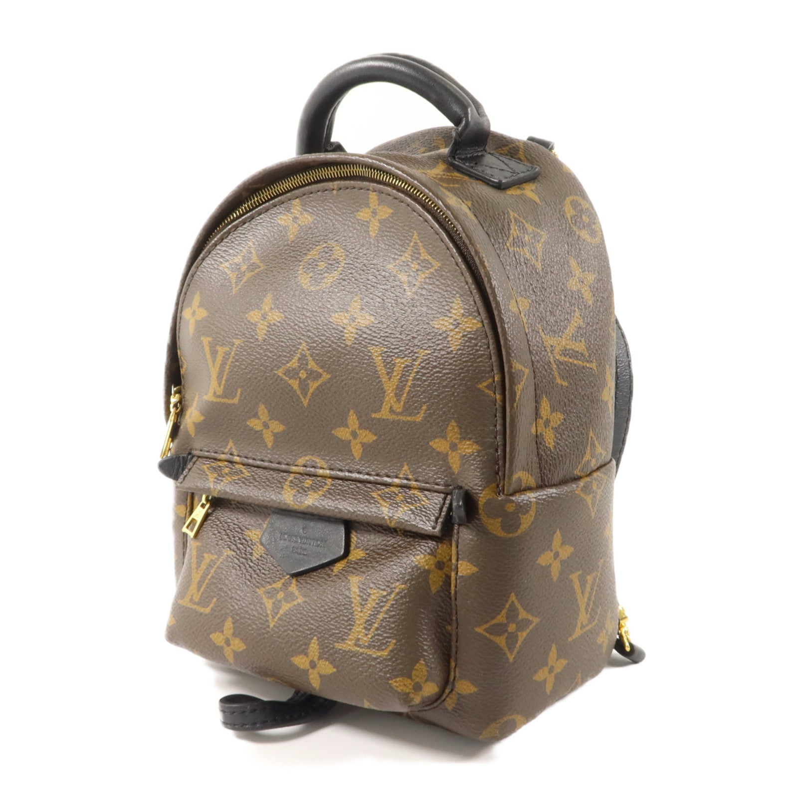 LOUIS VUITTON Monogram Palm Springs背包