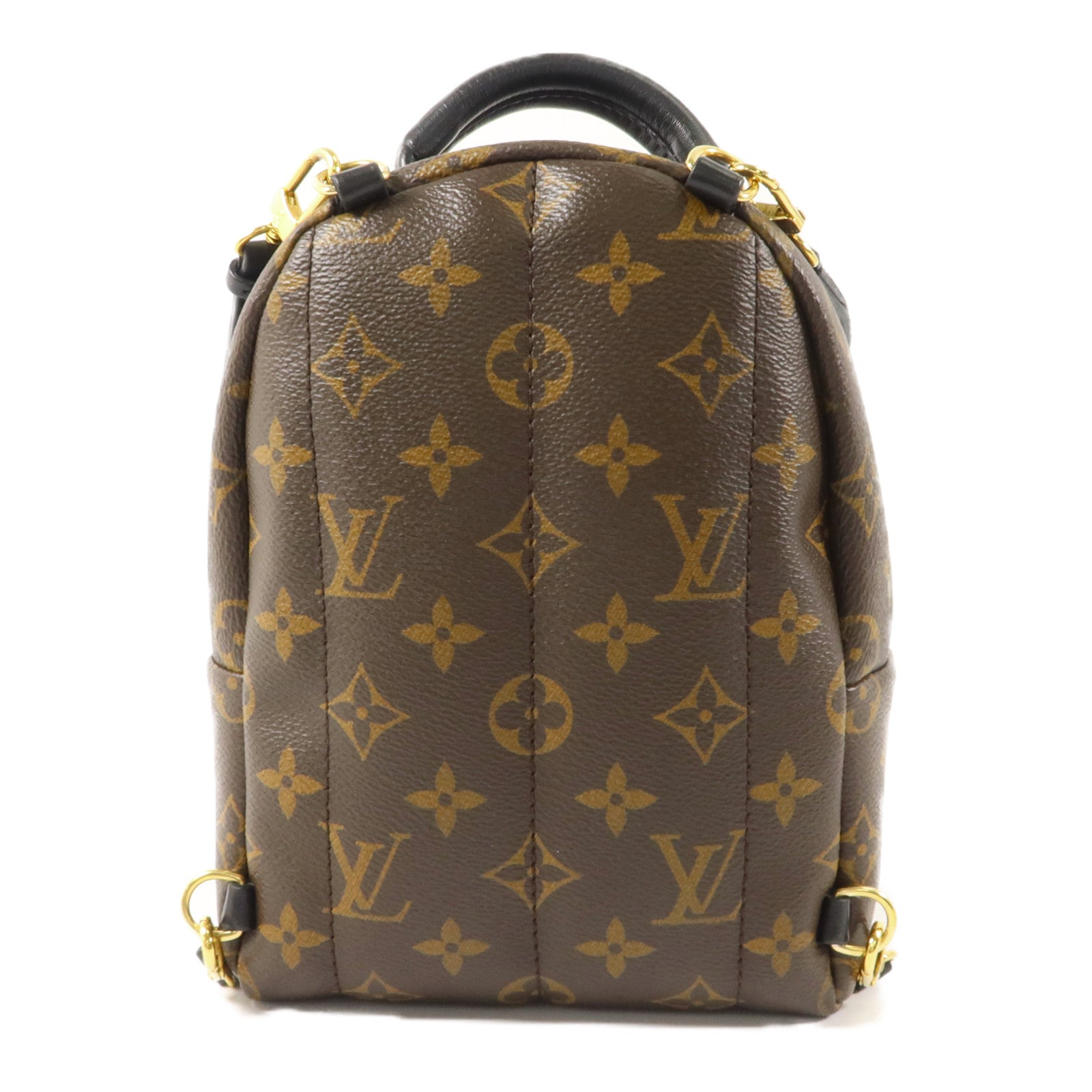 LOUIS VUITTON Monogram Palm Springs背包