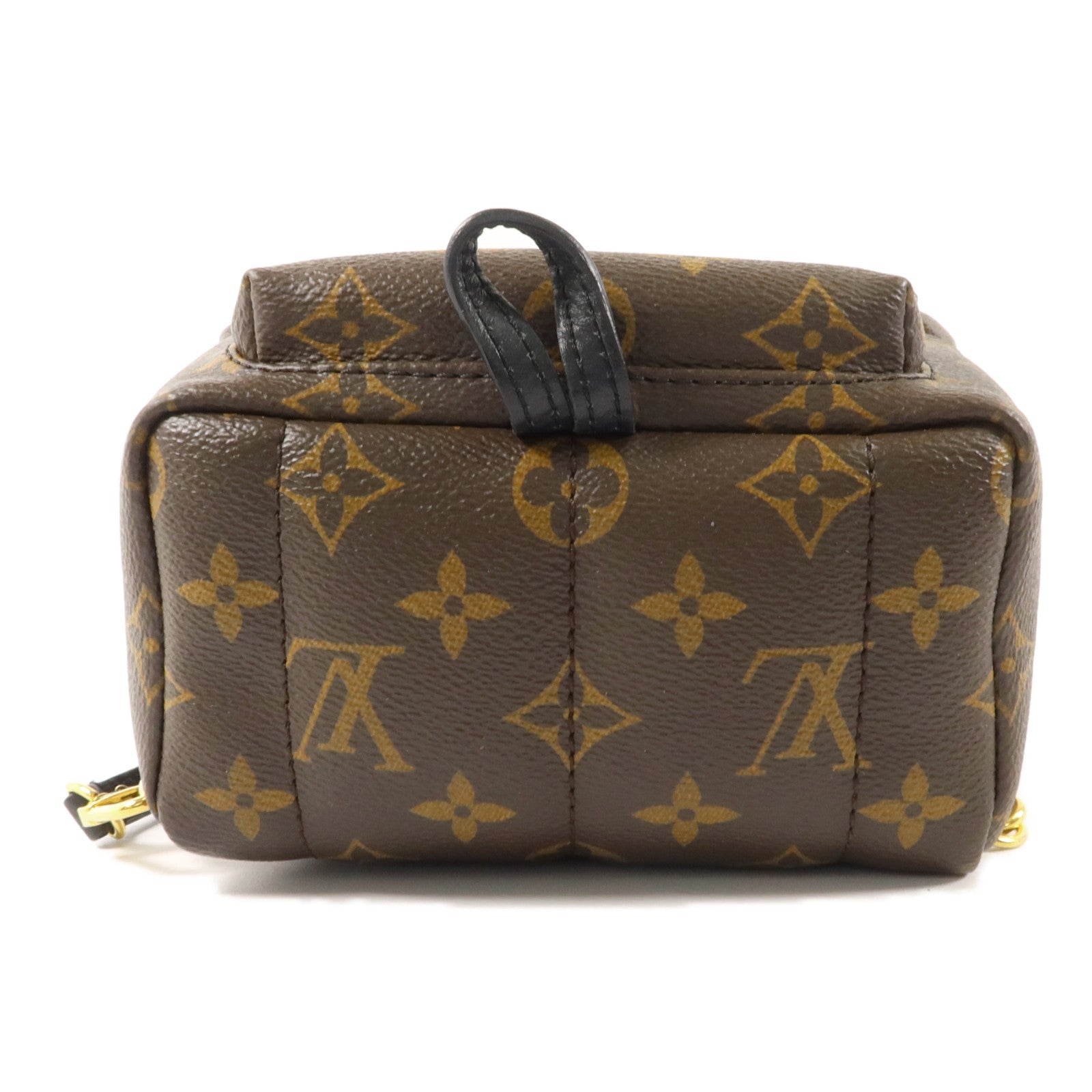 LOUIS VUITTON Monogram Palm Springs背包