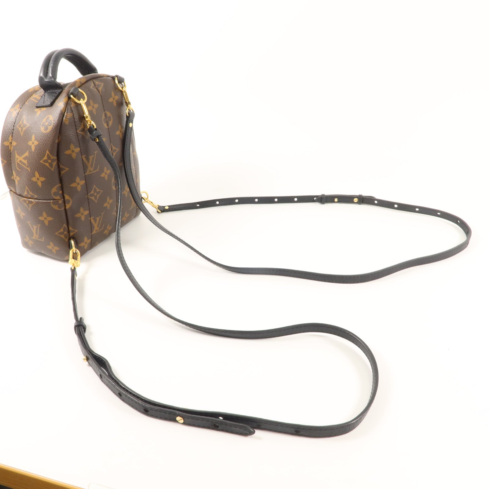 LOUIS VUITTON Monogram Palm Springs背包