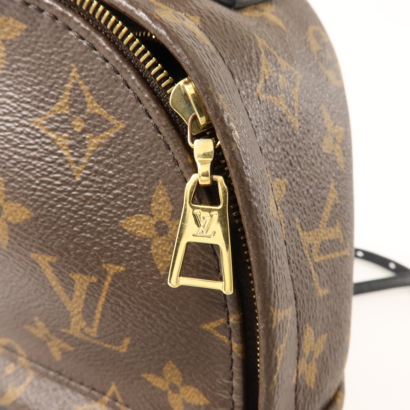 LOUIS VUITTON Monogram Palm Springs背包