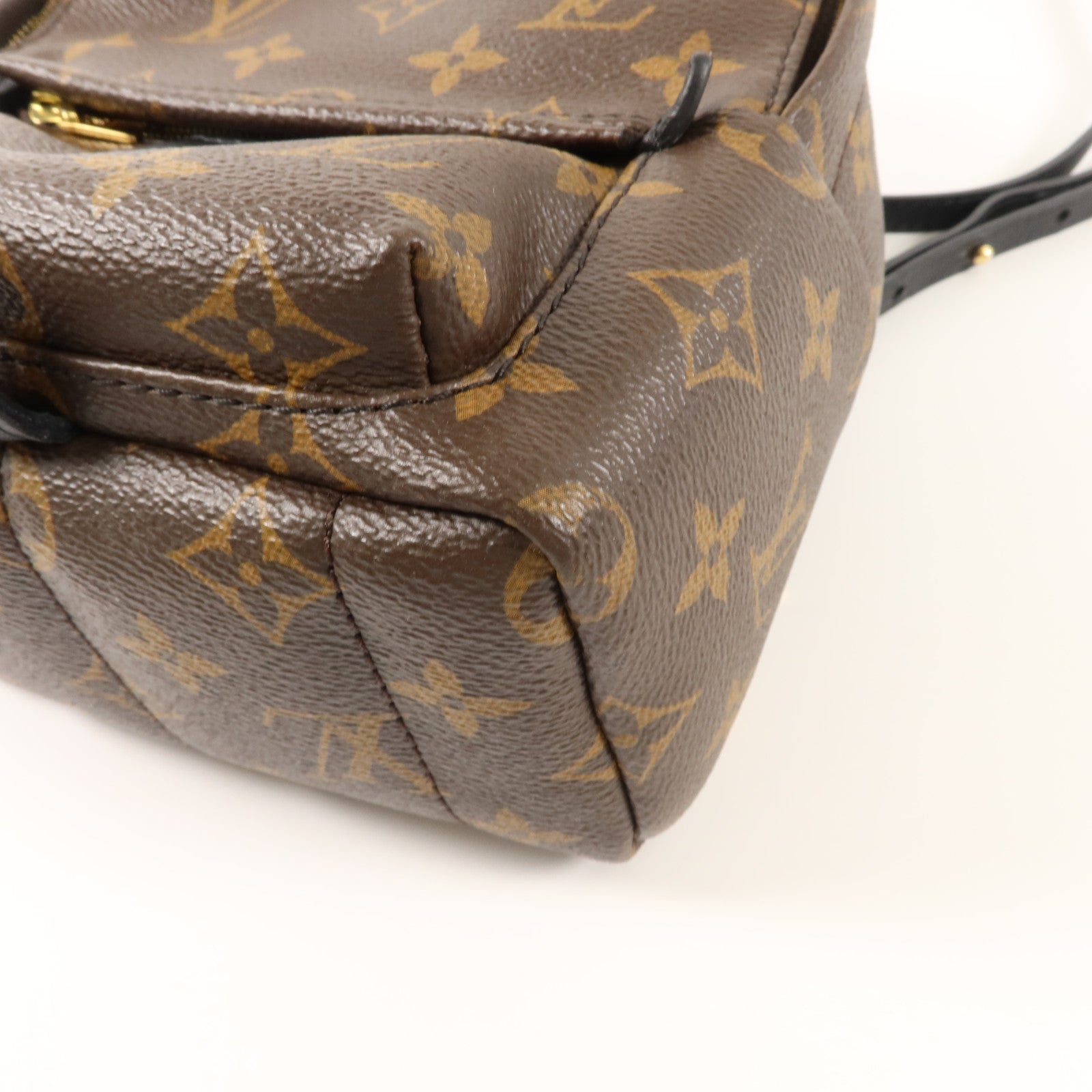 LOUIS VUITTON Monogram Palm Springs背包