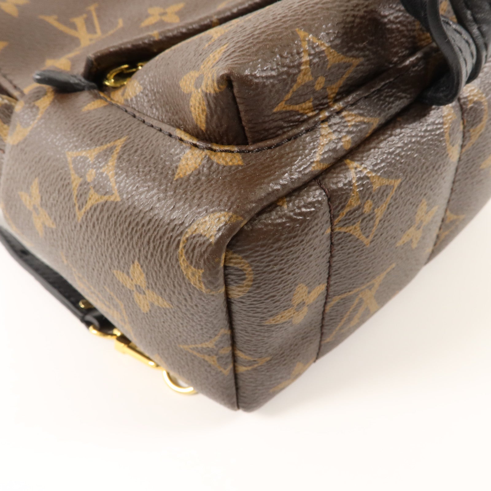LOUIS VUITTON Monogram Palm Springs背包