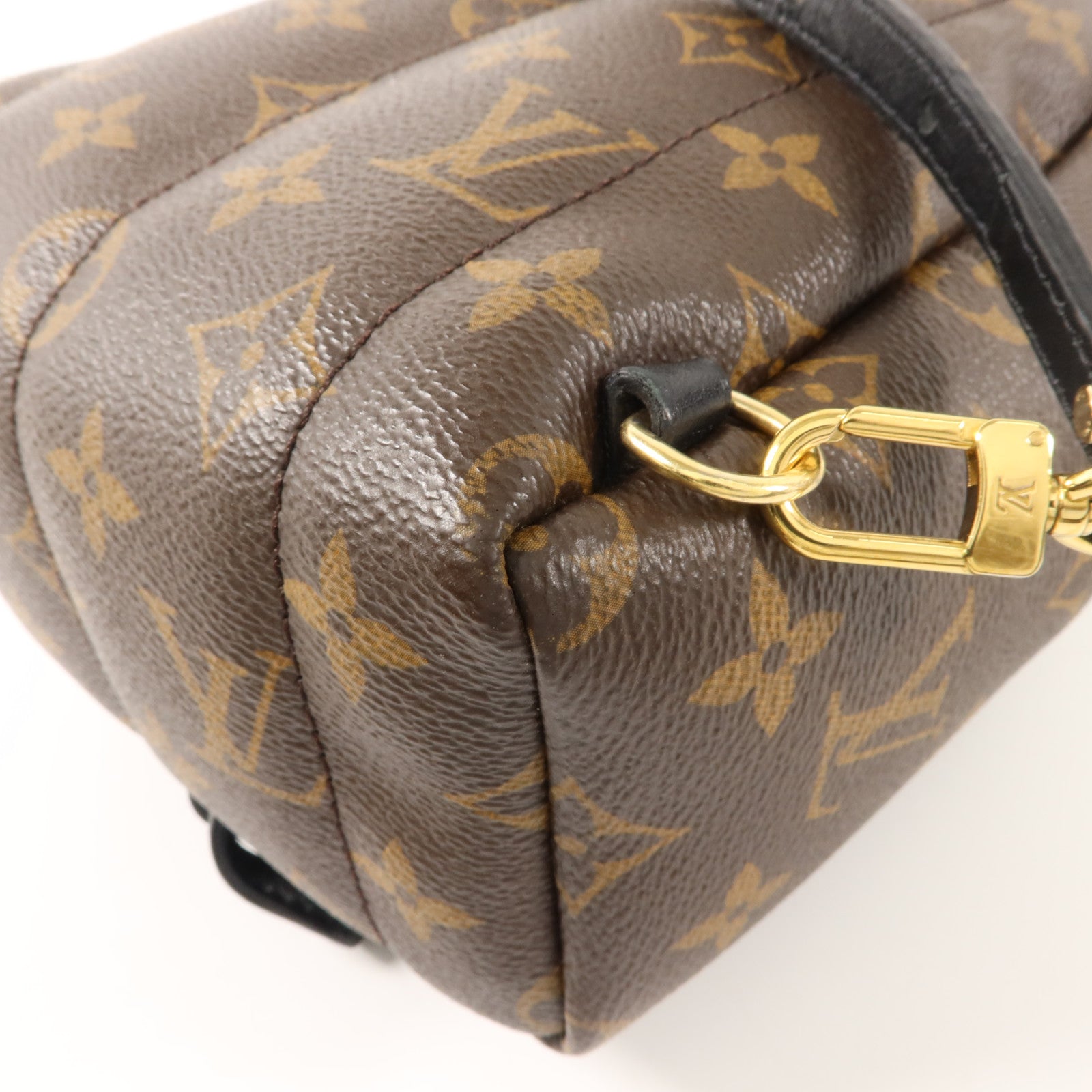 LOUIS VUITTON Monogram Palm Springs背包