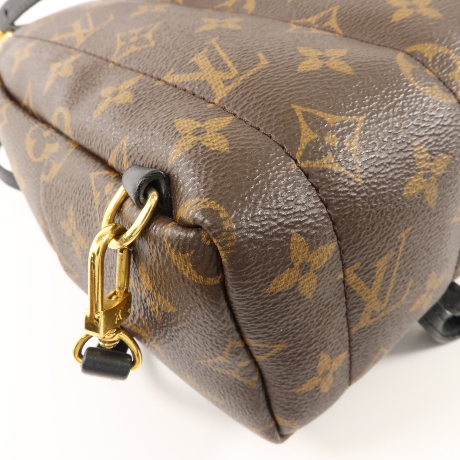 LOUIS VUITTON Monogram Palm Springs背包