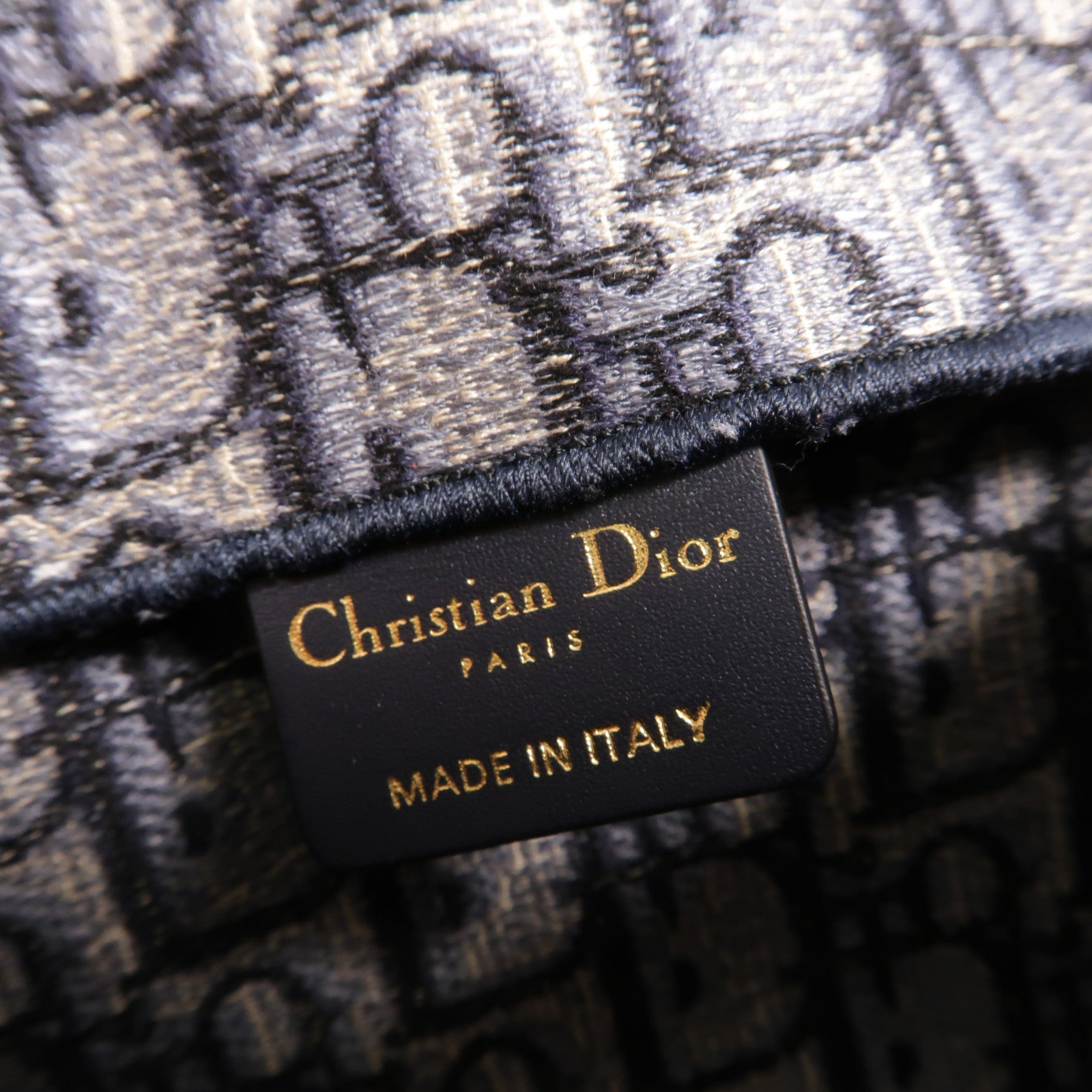 Dior 帆布Saddle Pouch腰包