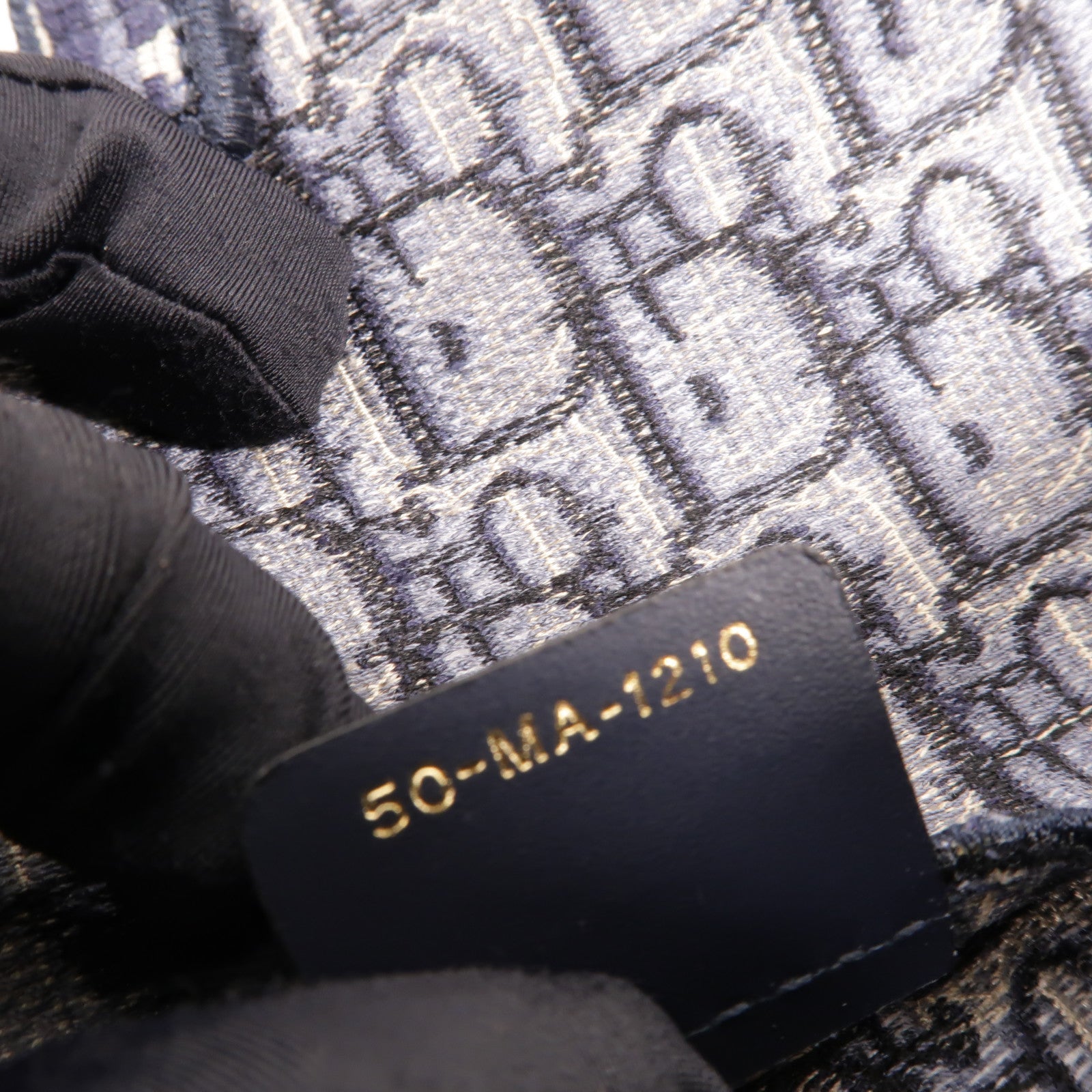 Dior 帆布Saddle Pouch腰包