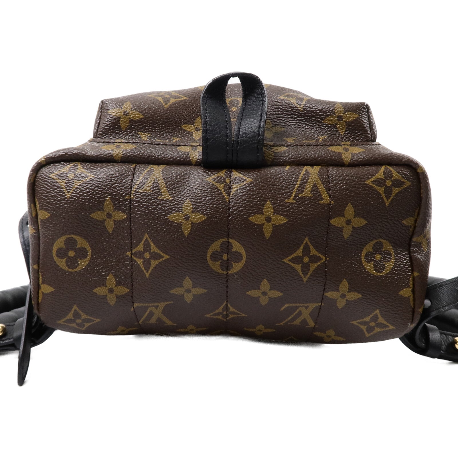 LOUIS VUITTON Monogram Palm Springs PM背包