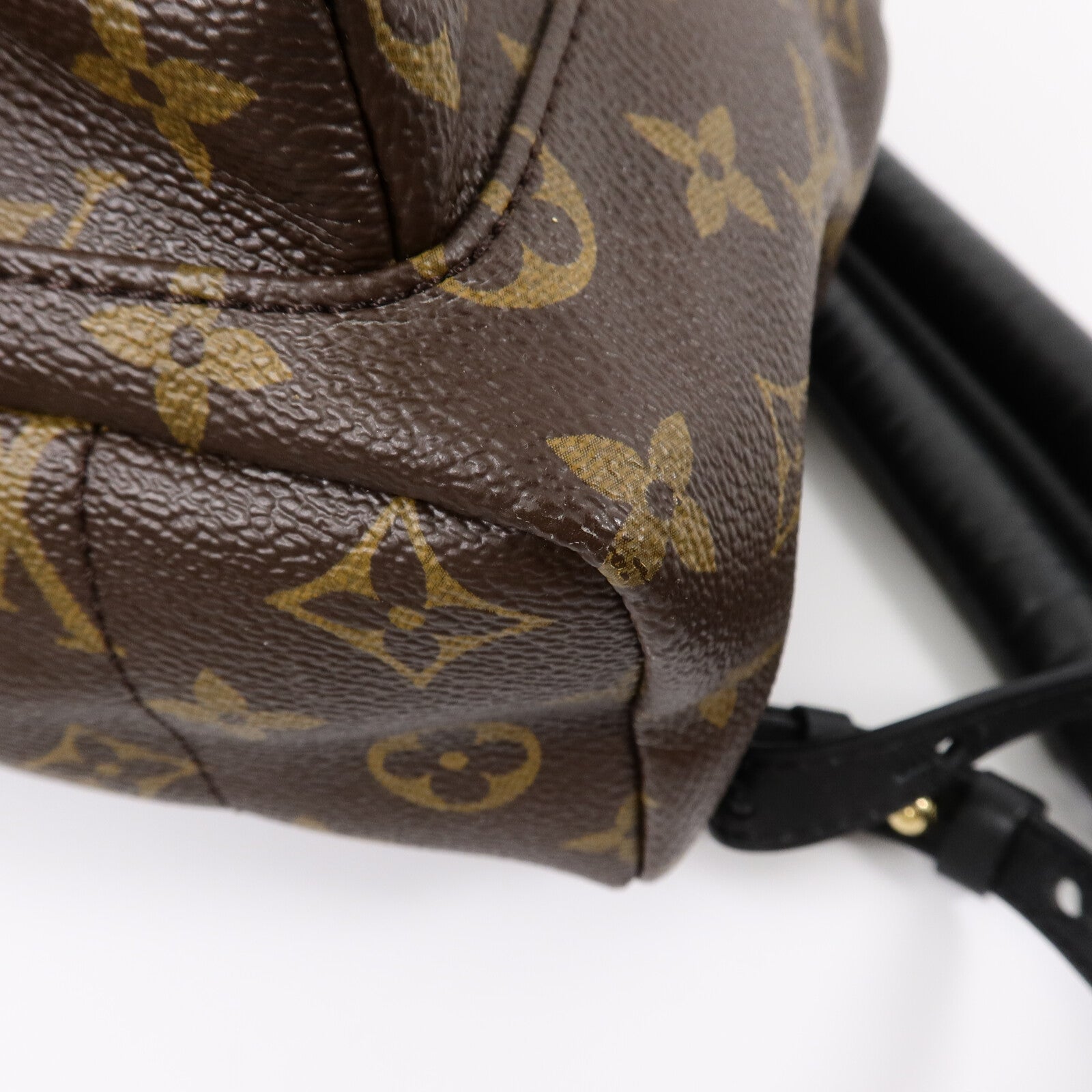 LOUIS VUITTON Monogram Palm Springs PM背包