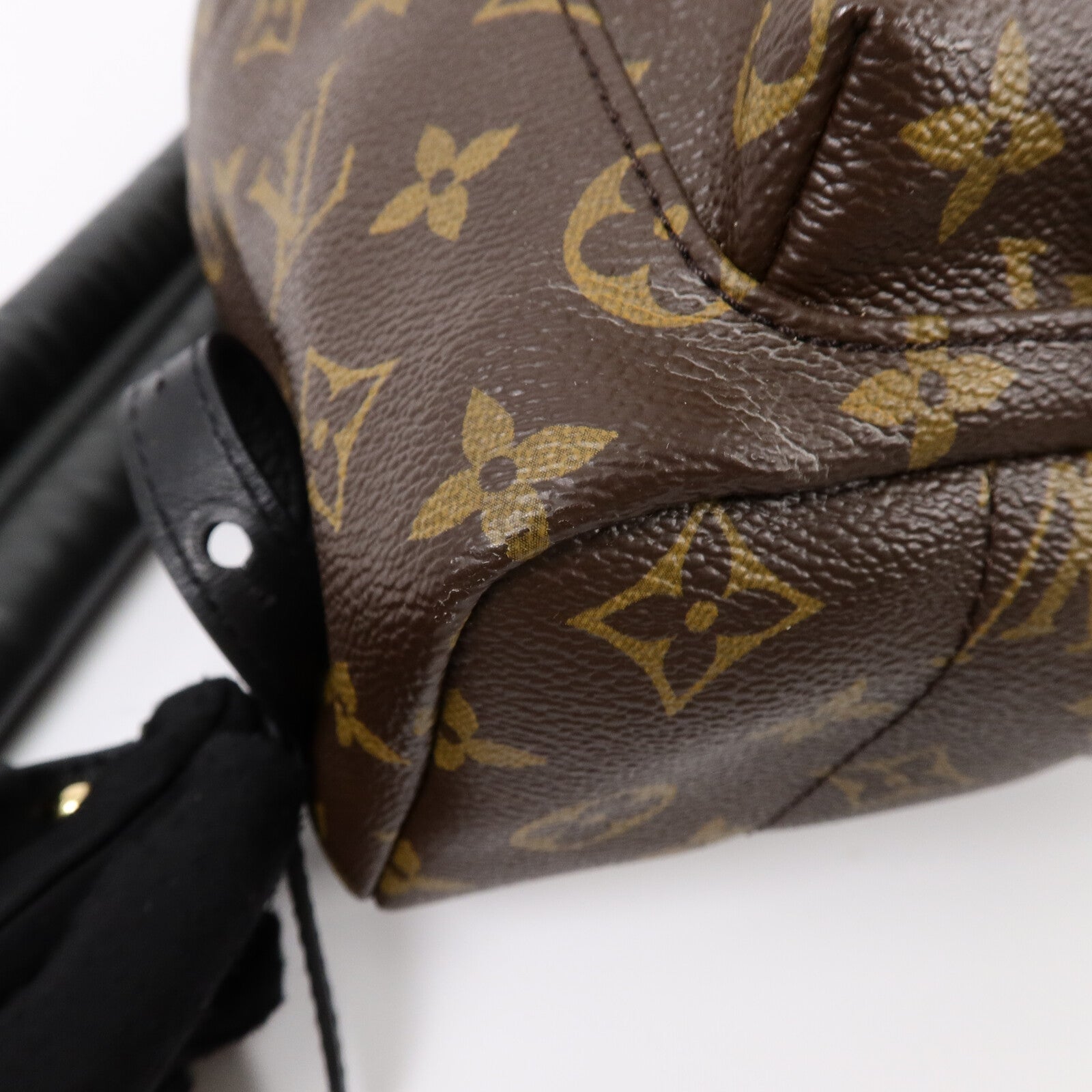 LOUIS VUITTON Monogram Palm Springs PM背包