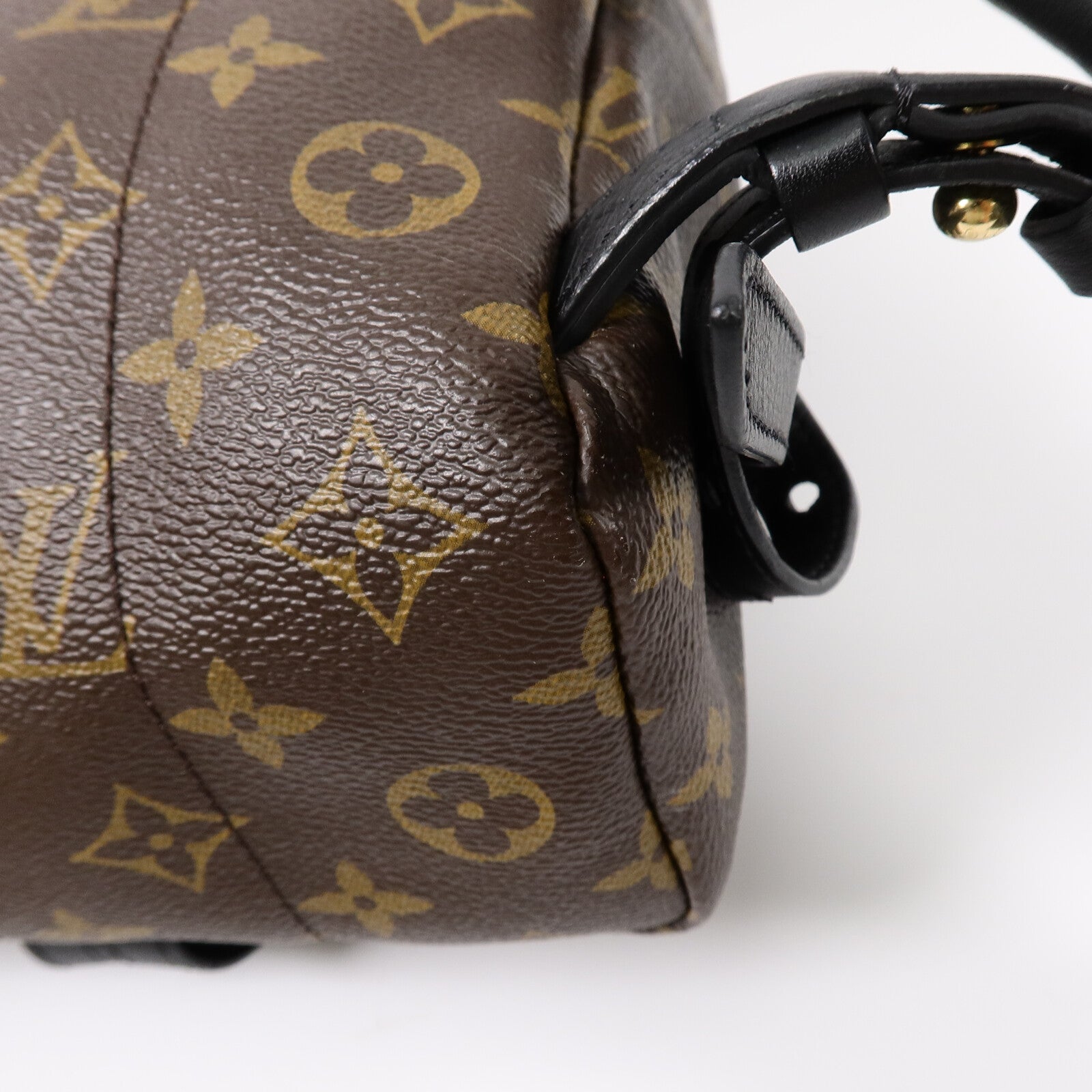 LOUIS VUITTON Monogram Palm Springs PM背包