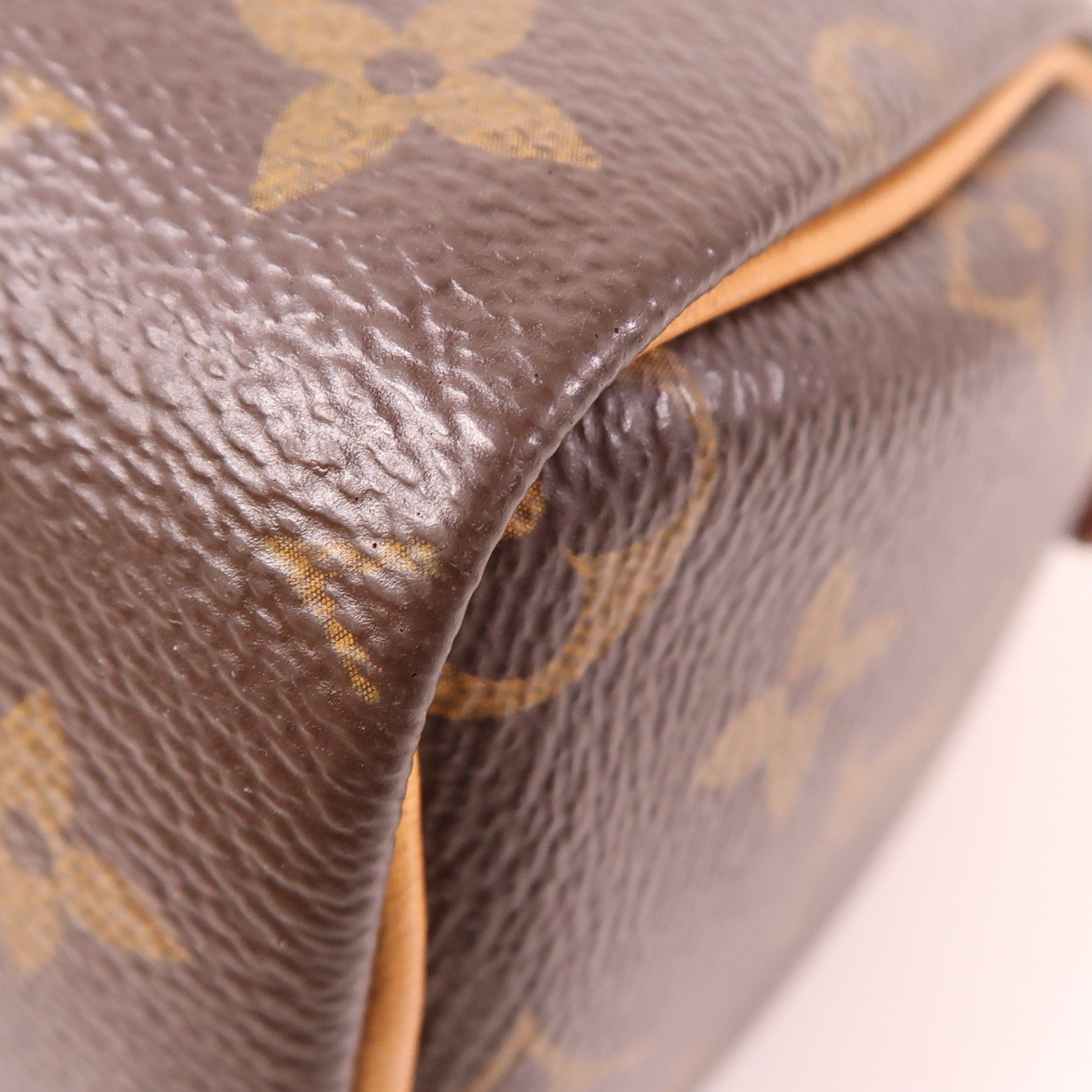 LOUIS VUITTON Monogram Nano Speedy金扣手挽肩背兩用袋