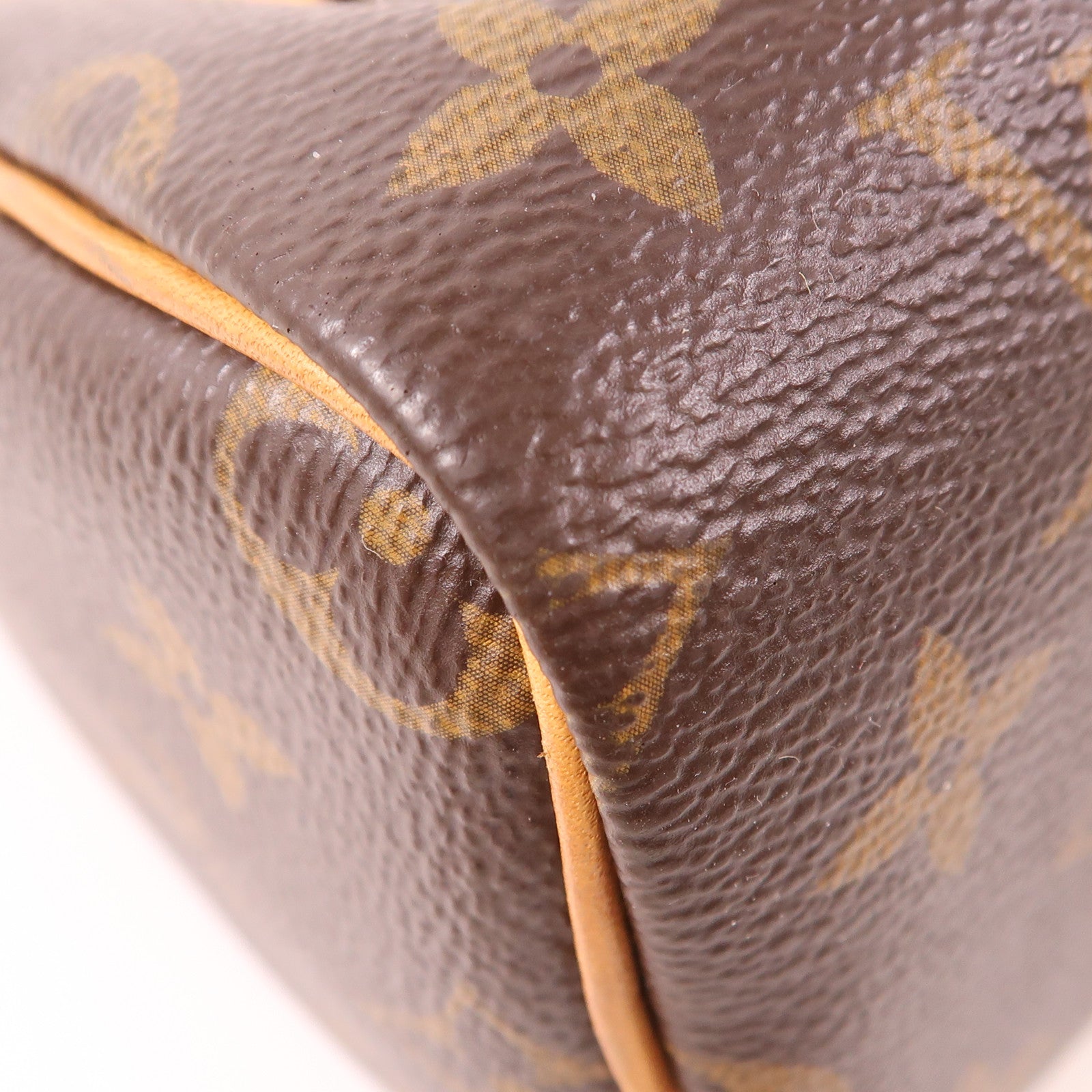 LOUIS VUITTON Monogram Nano Speedy金扣手挽肩背兩用袋