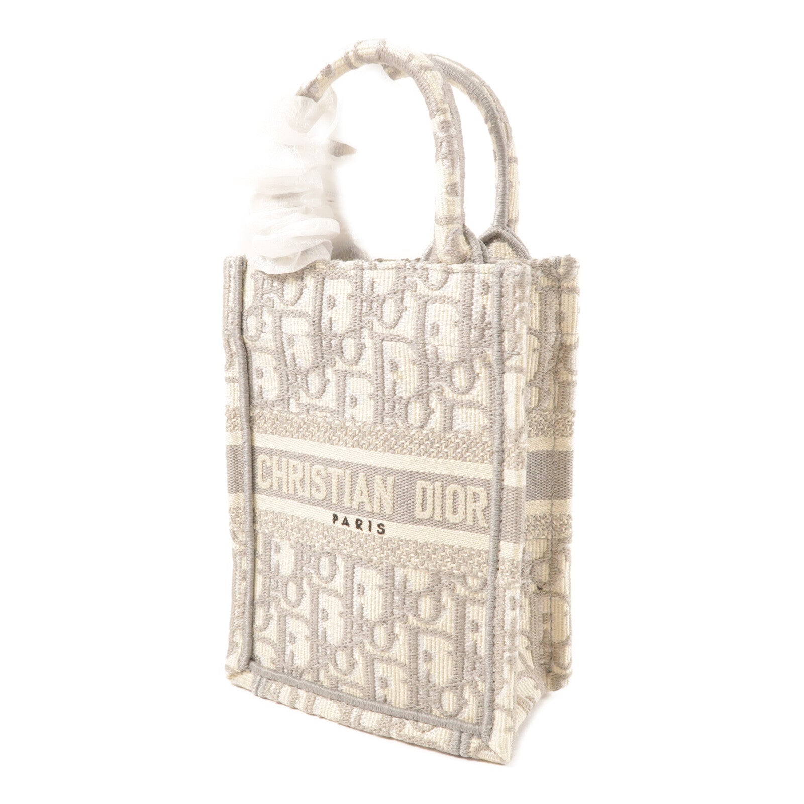 Dior 帆布Book Tote Mini金扣手挽肩背兩用袋