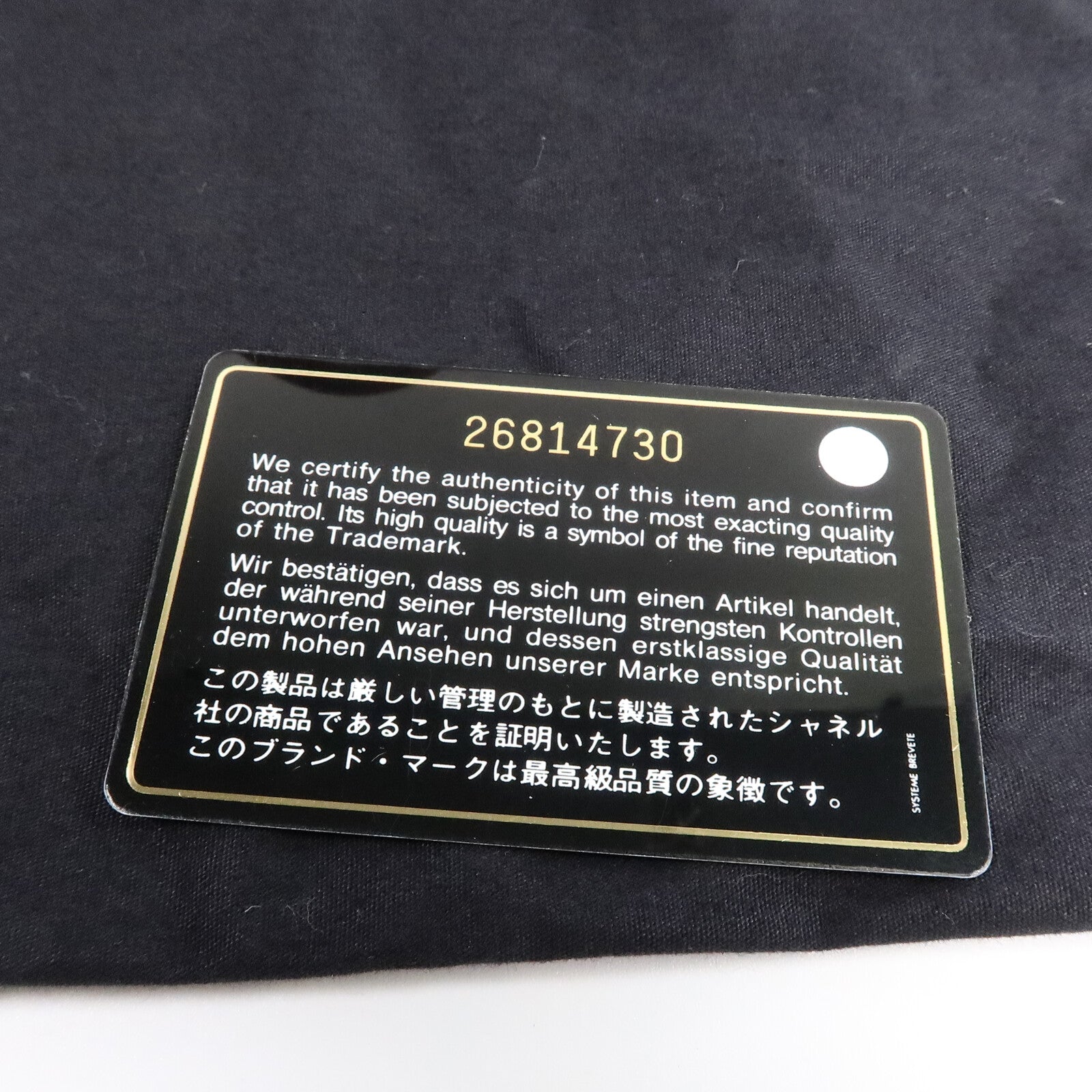 CHANEL 蛇皮/牛皮皮革Coco Handel Small鏈帶手挽肩背兩用袋