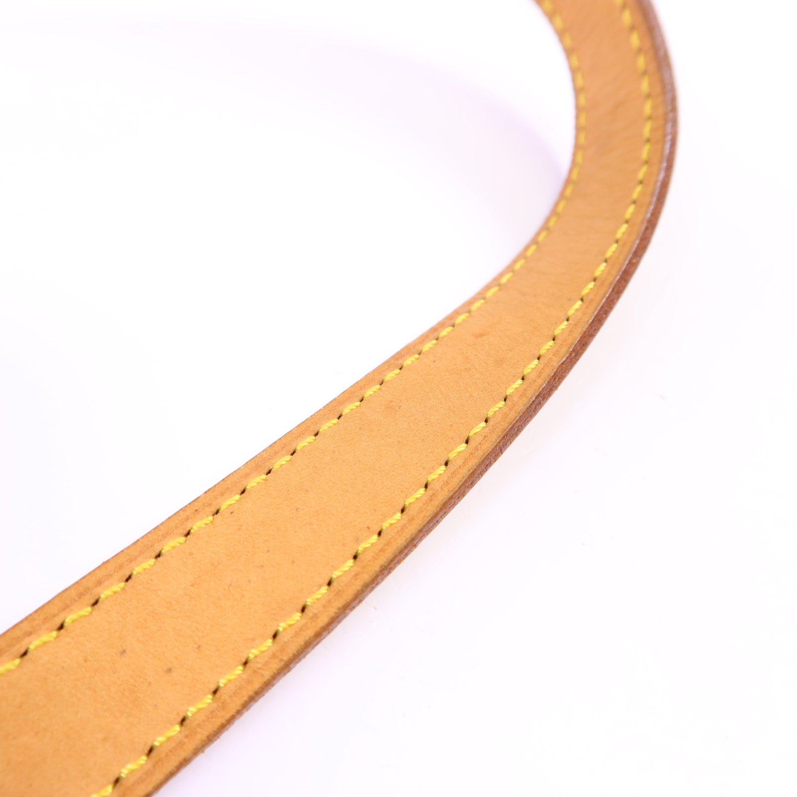 LOUIS VUITTON Vernis Brentwood金扣肩背袋