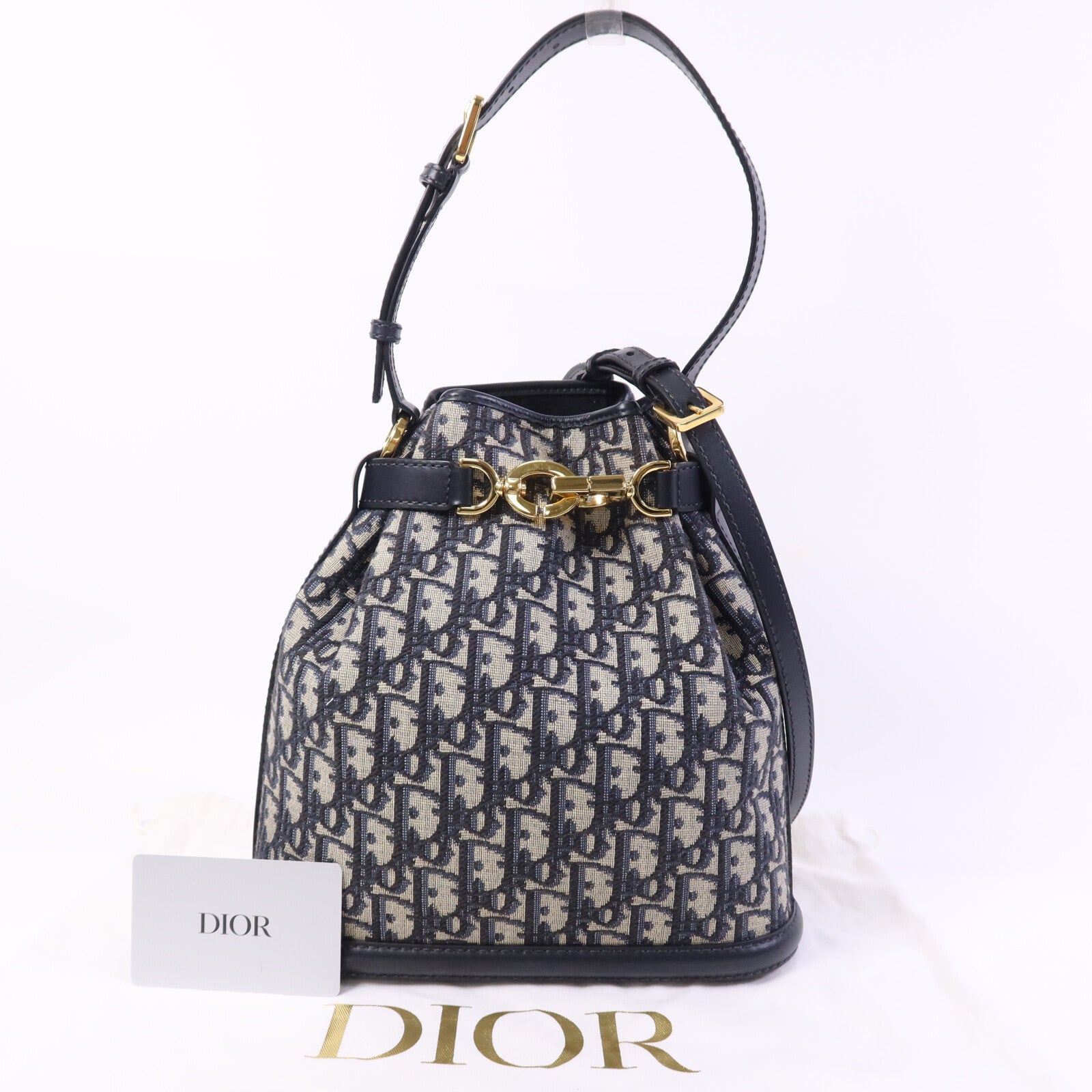 Dior 帆布Medium C'est Bag金扣手挽肩背兩用袋