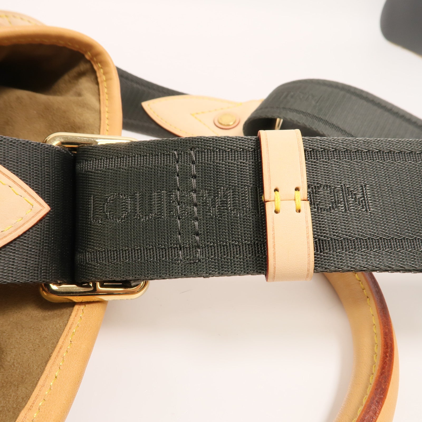 LOUIS VUITTON Monogram Eden Neo手挽肩背兩用袋