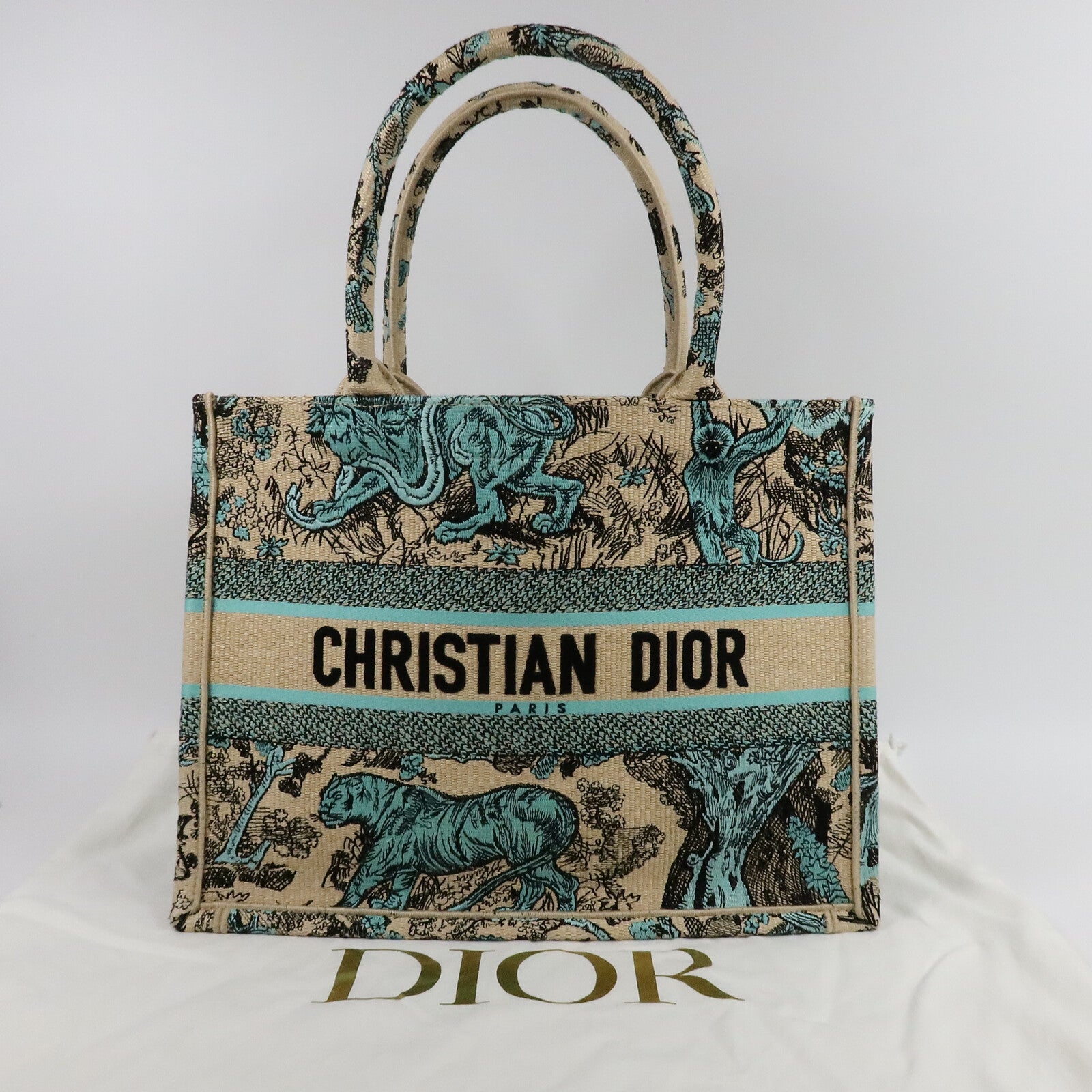 Dior 帆布Book Tote Medium肩背袋