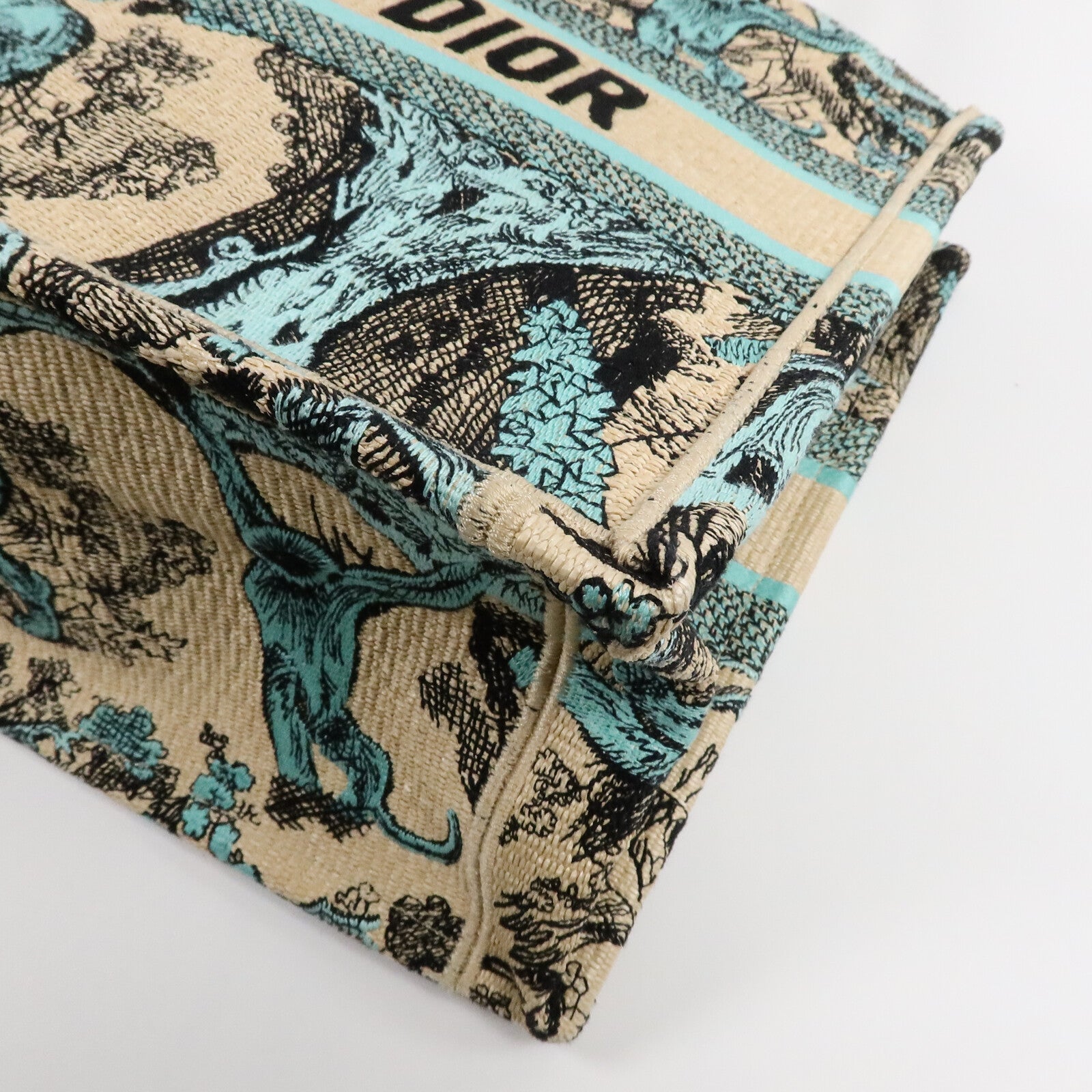 Dior 帆布Book Tote Medium肩背袋