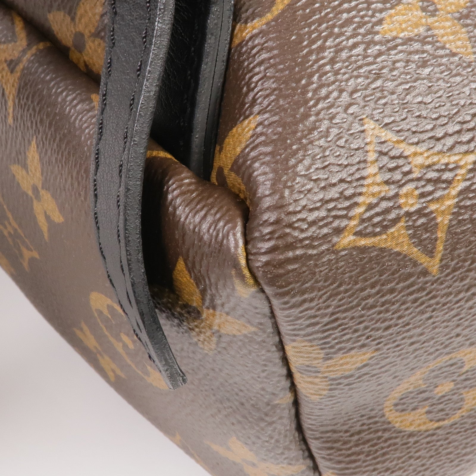 LOUIS VUITTON Monogram Palm Springs PM金扣背包