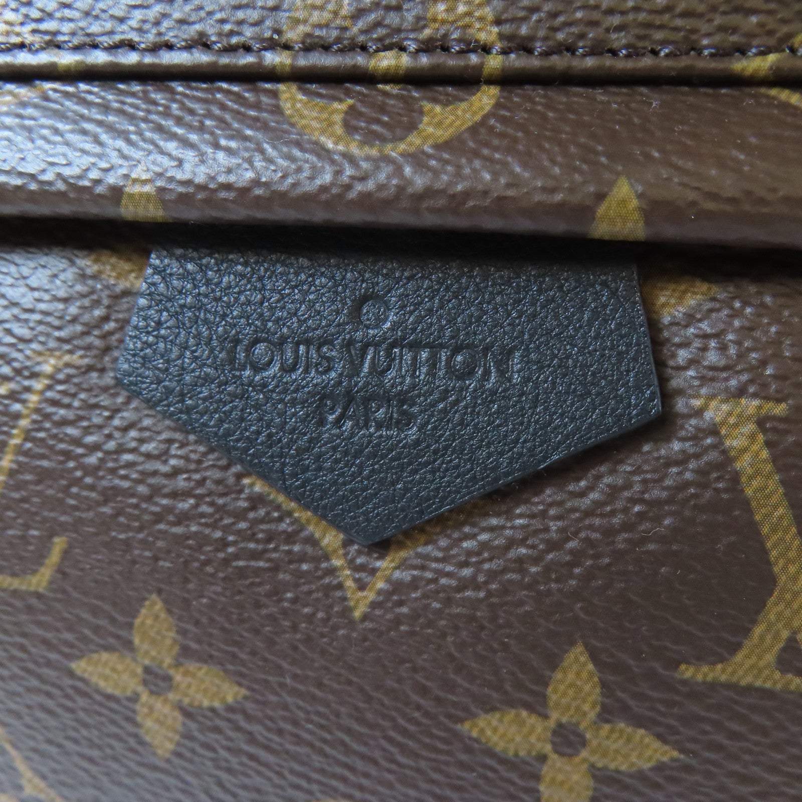LOUIS VUITTON Monogram Palm Springs MM金扣背包啡色
