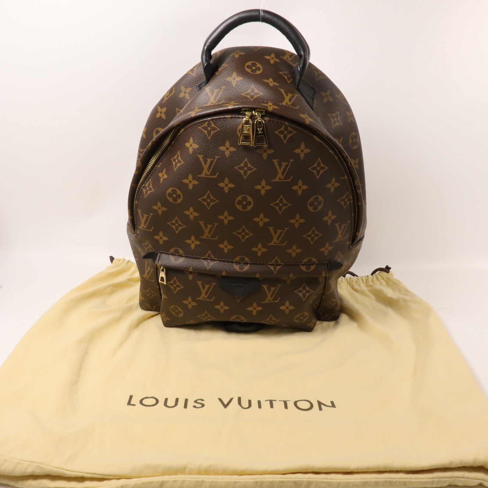 LOUIS VUITTON Monogram Palm Springs MM背包