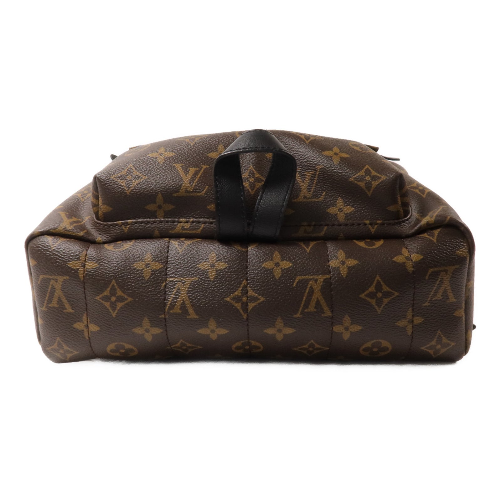 LOUIS VUITTON Monogram Palm Springs MM背包
