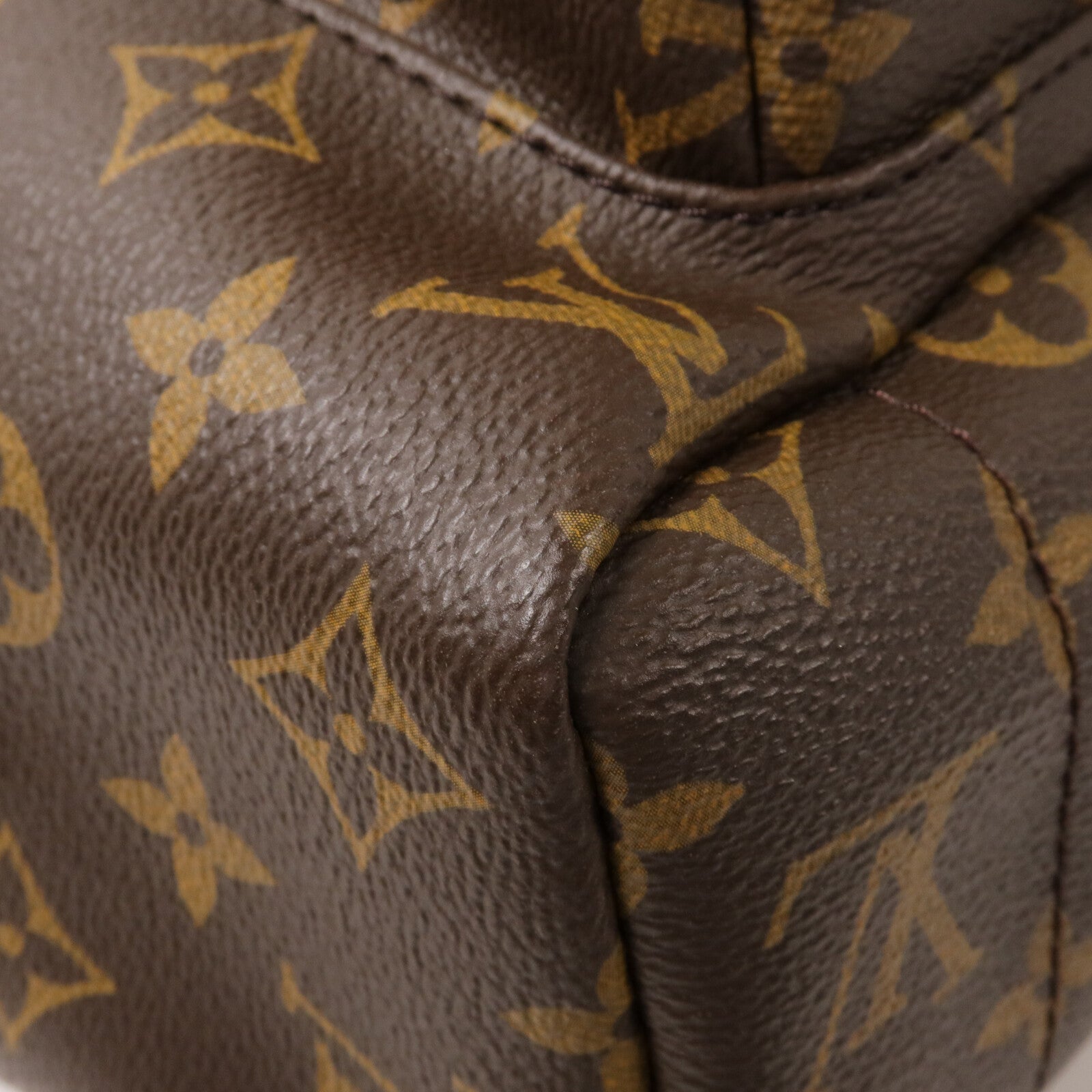 LOUIS VUITTON Monogram Palm Springs MM背包