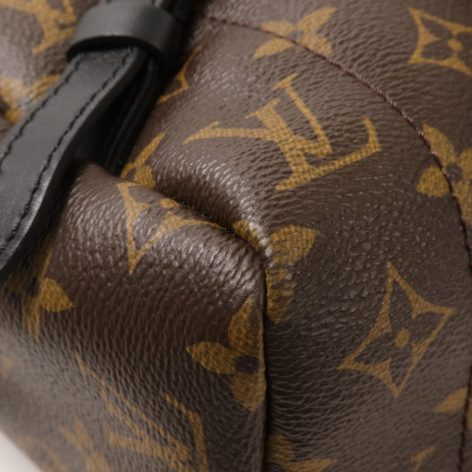 LOUIS VUITTON Monogram Palm Springs MM背包