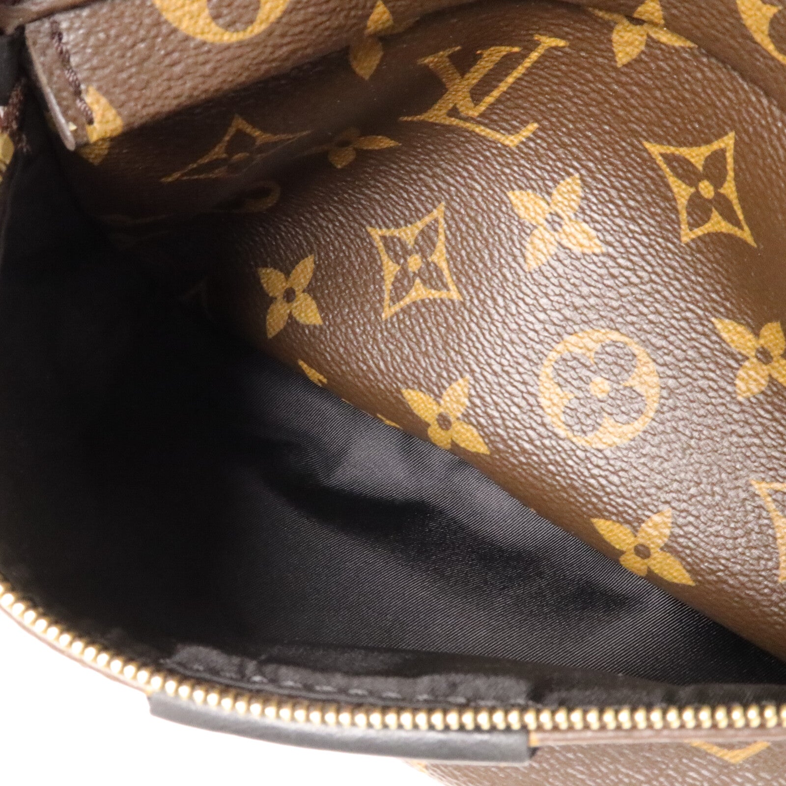 LOUIS VUITTON Monogram Palm Springs MM背包